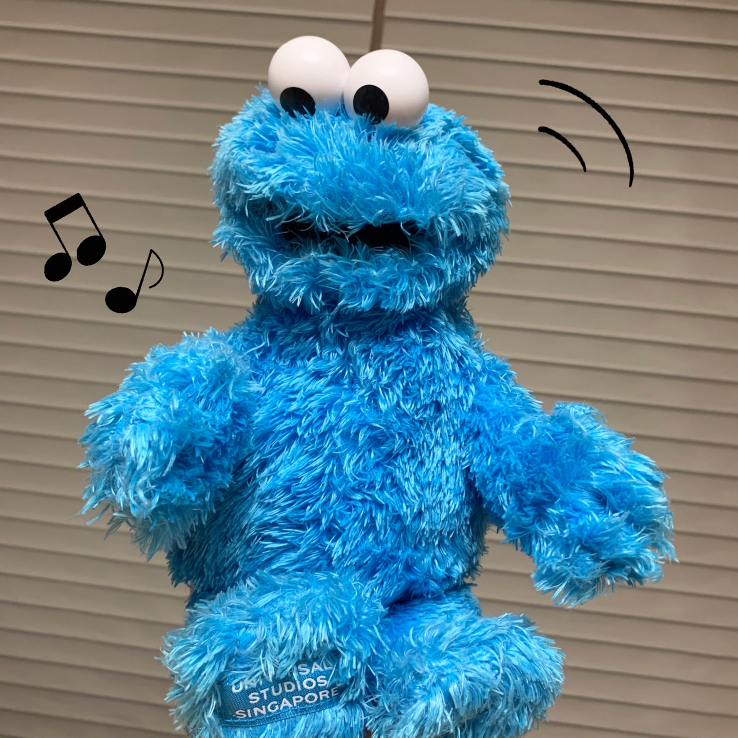 쿠키 몬스터🍪