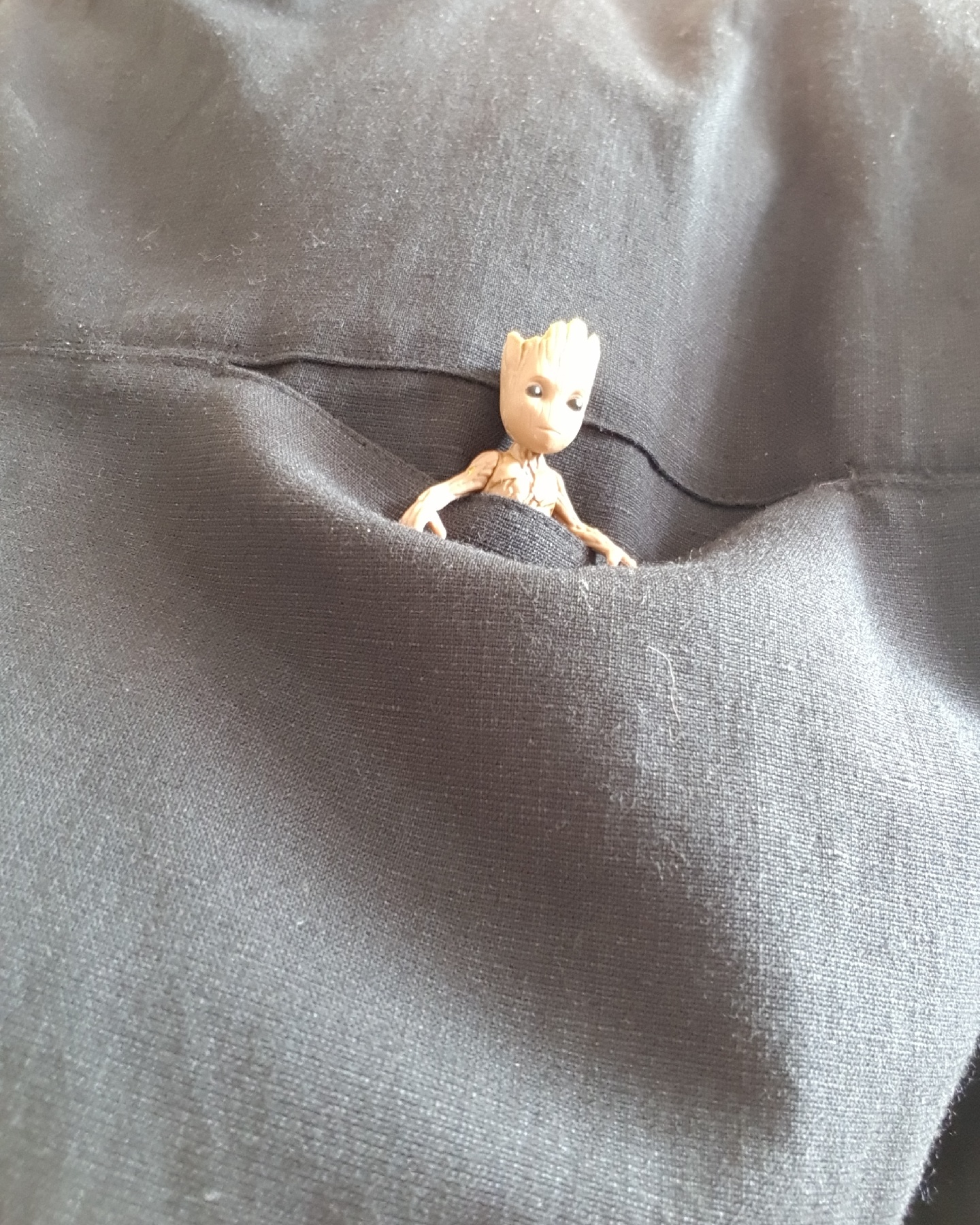 메타코레 그루트