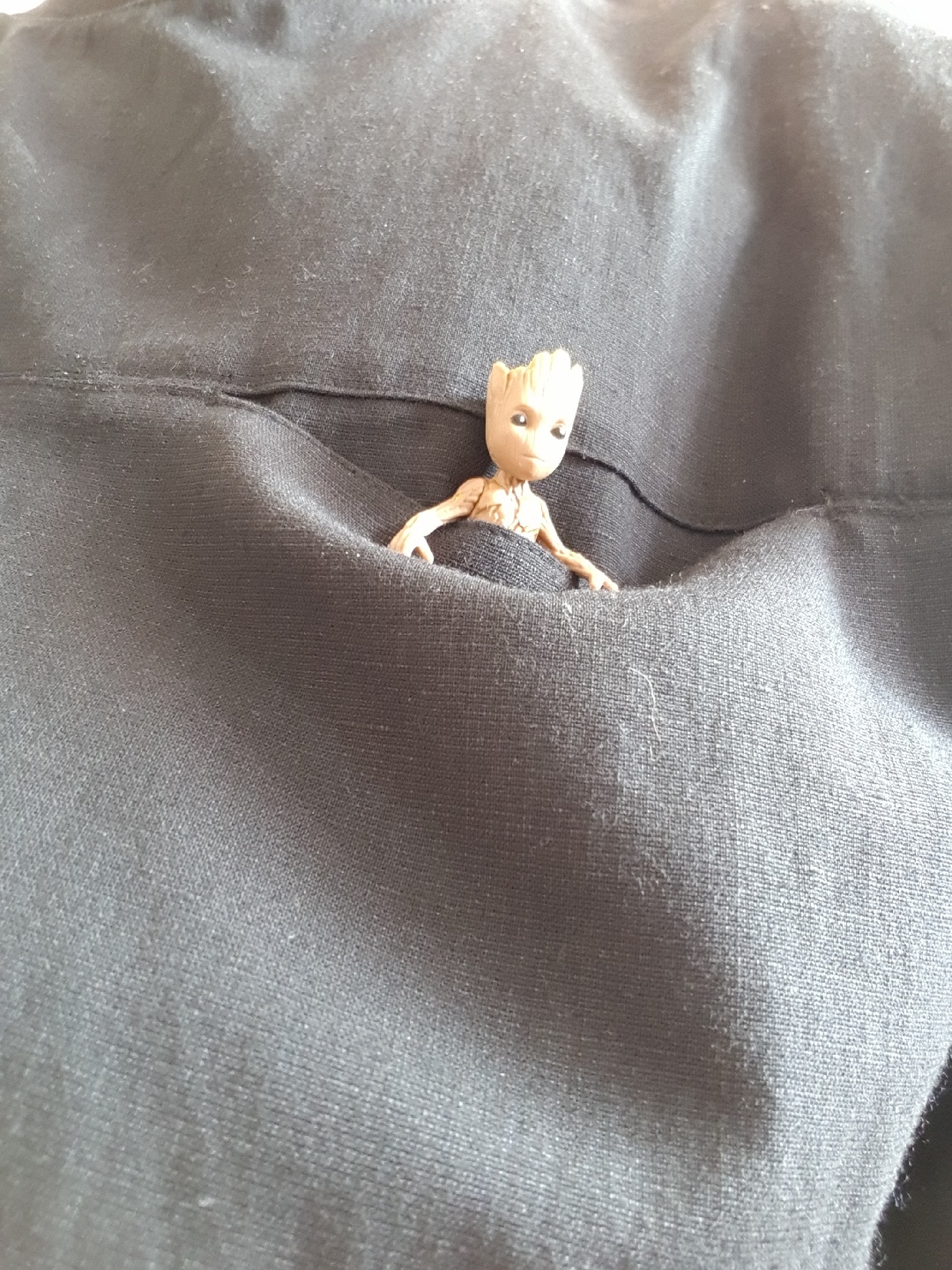 메타코레 그루트