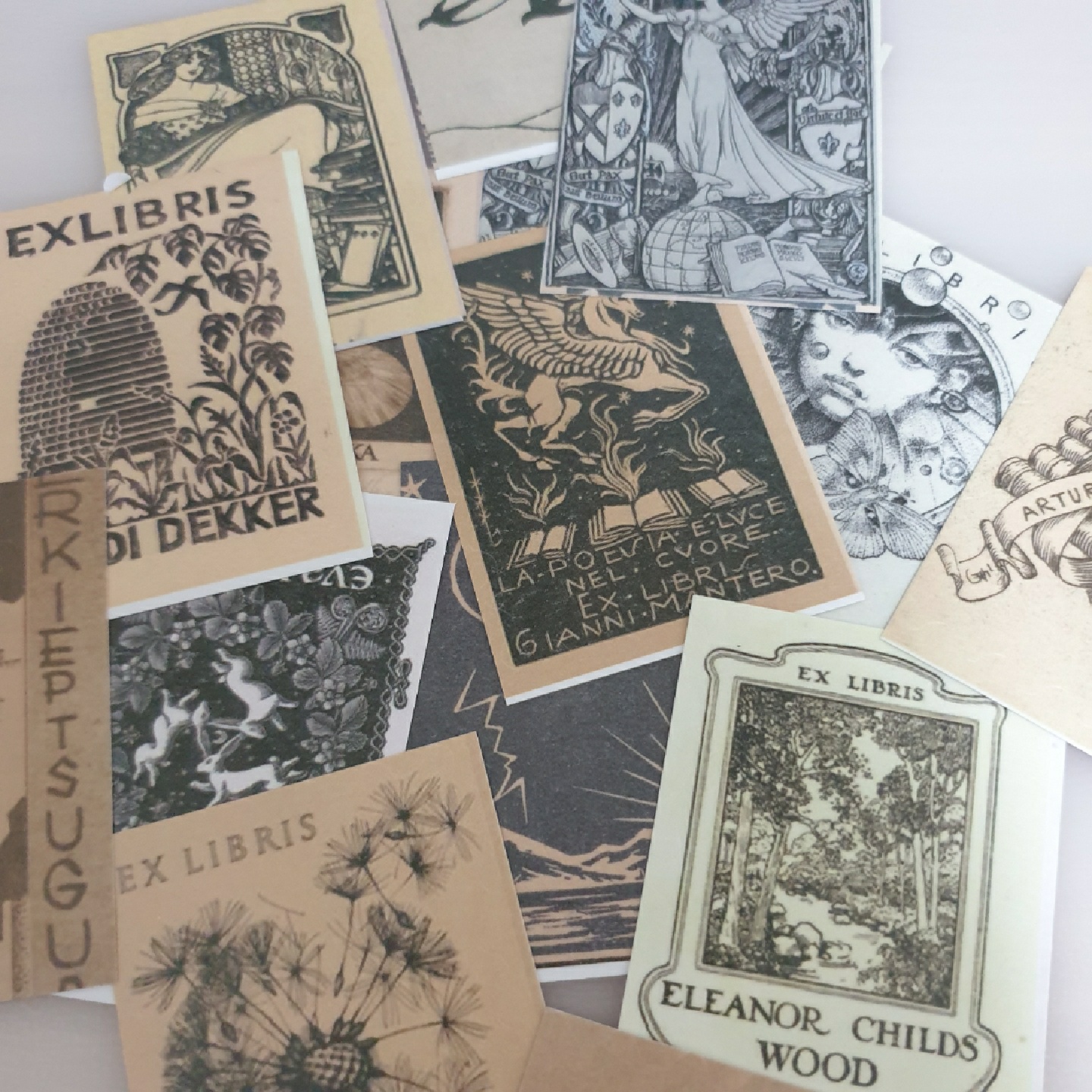 🖤💜Vintage tarot💜🖤
