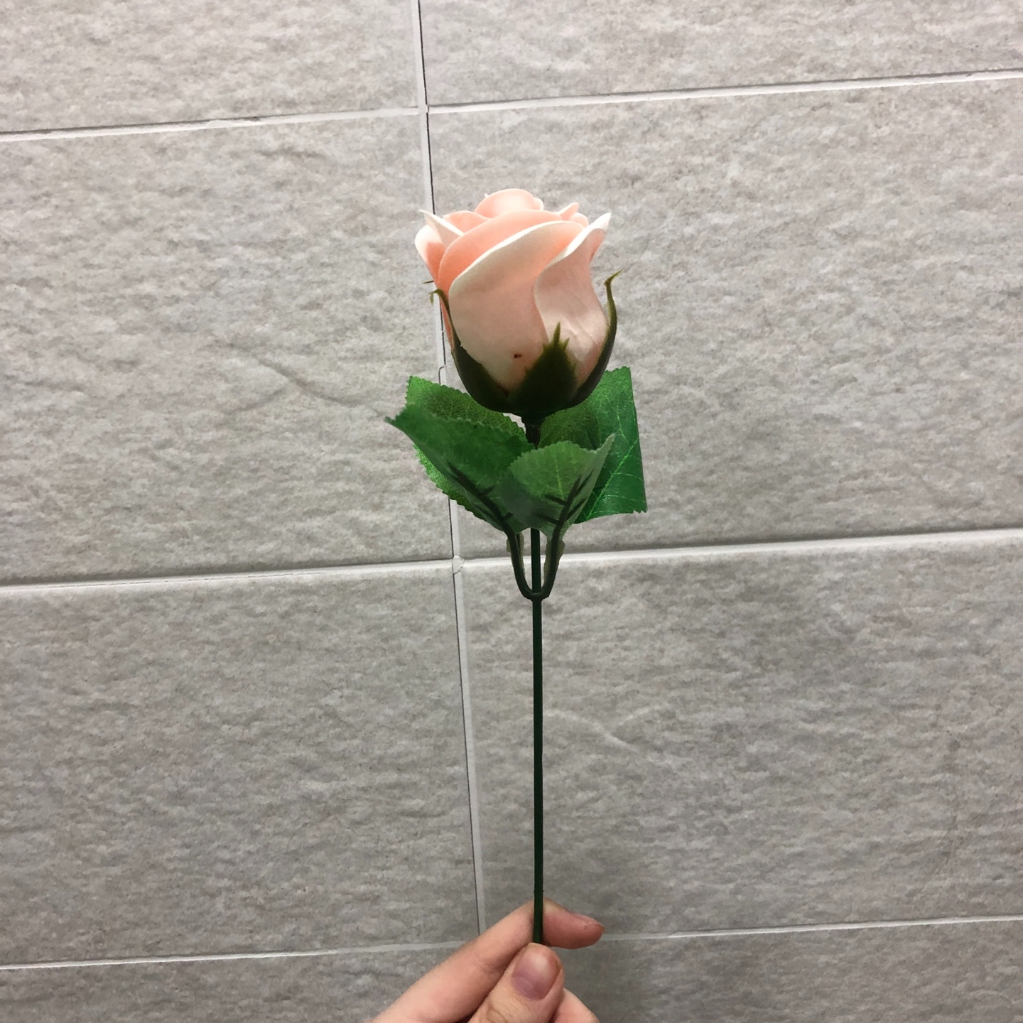 제목을 입력하세요