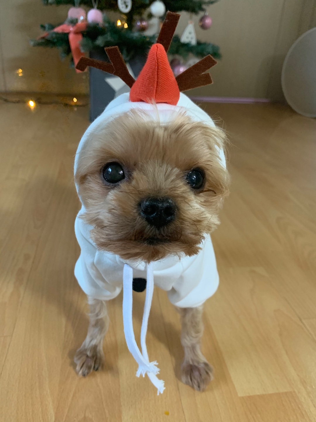 알고보니 디즈니였던 것들..!