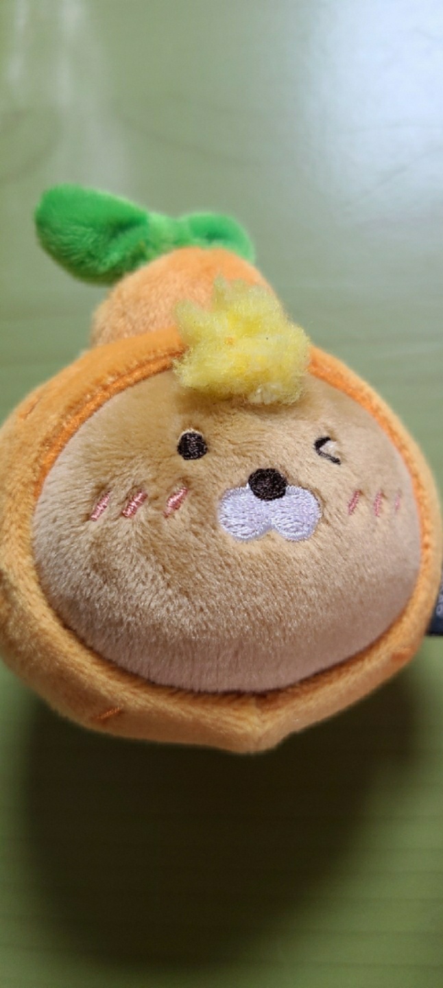 한라봉??