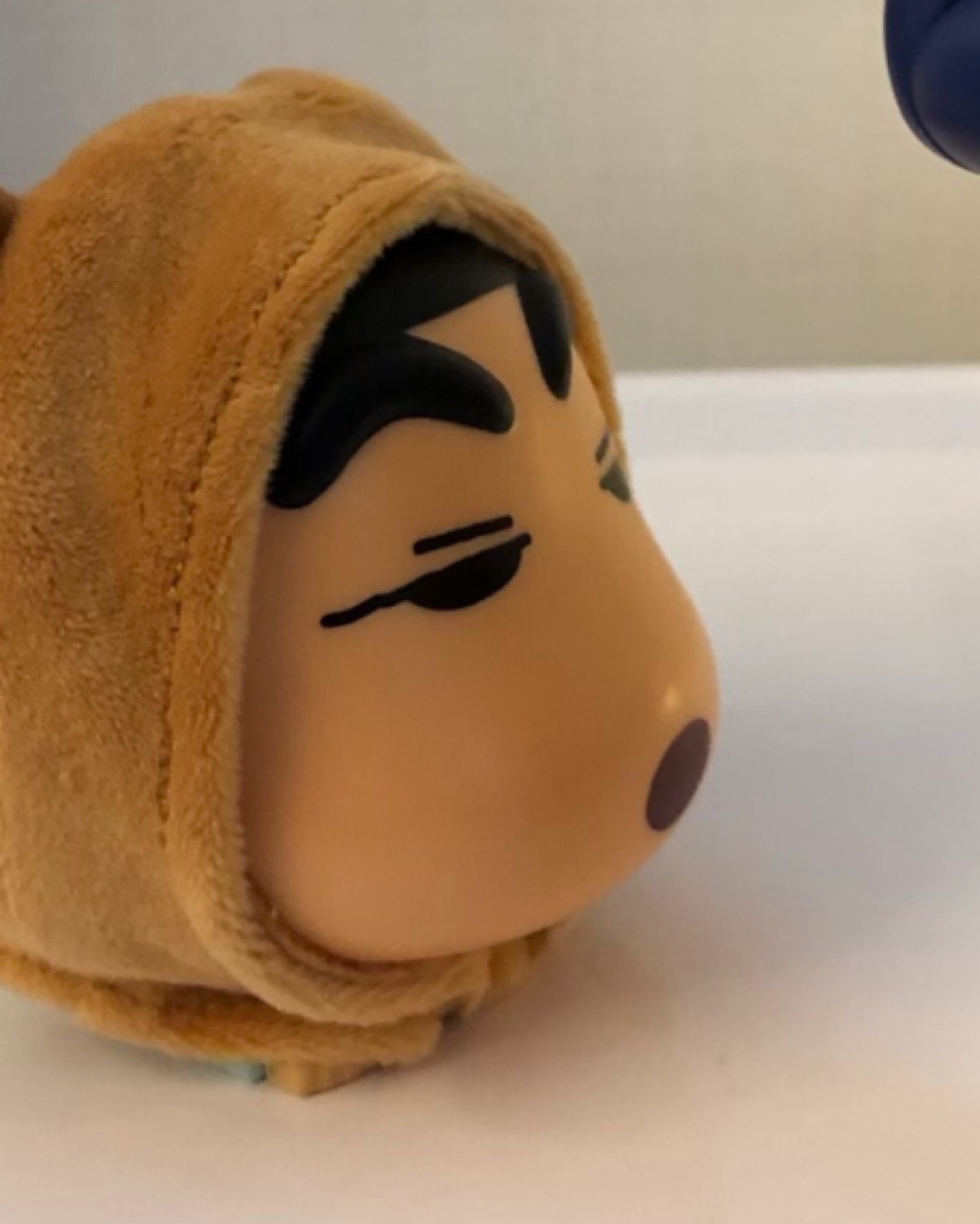 라쿤의 정체🙉