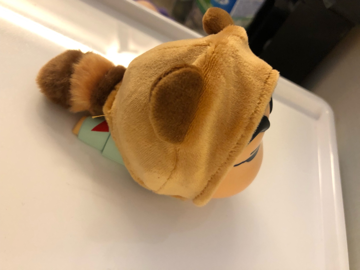 라쿤의 정체🙉
