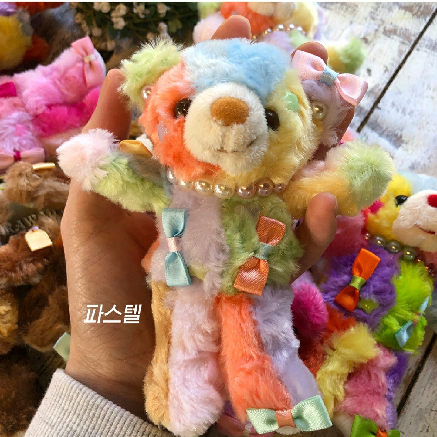 🧸무엇이 더 귀여울까요오🎀