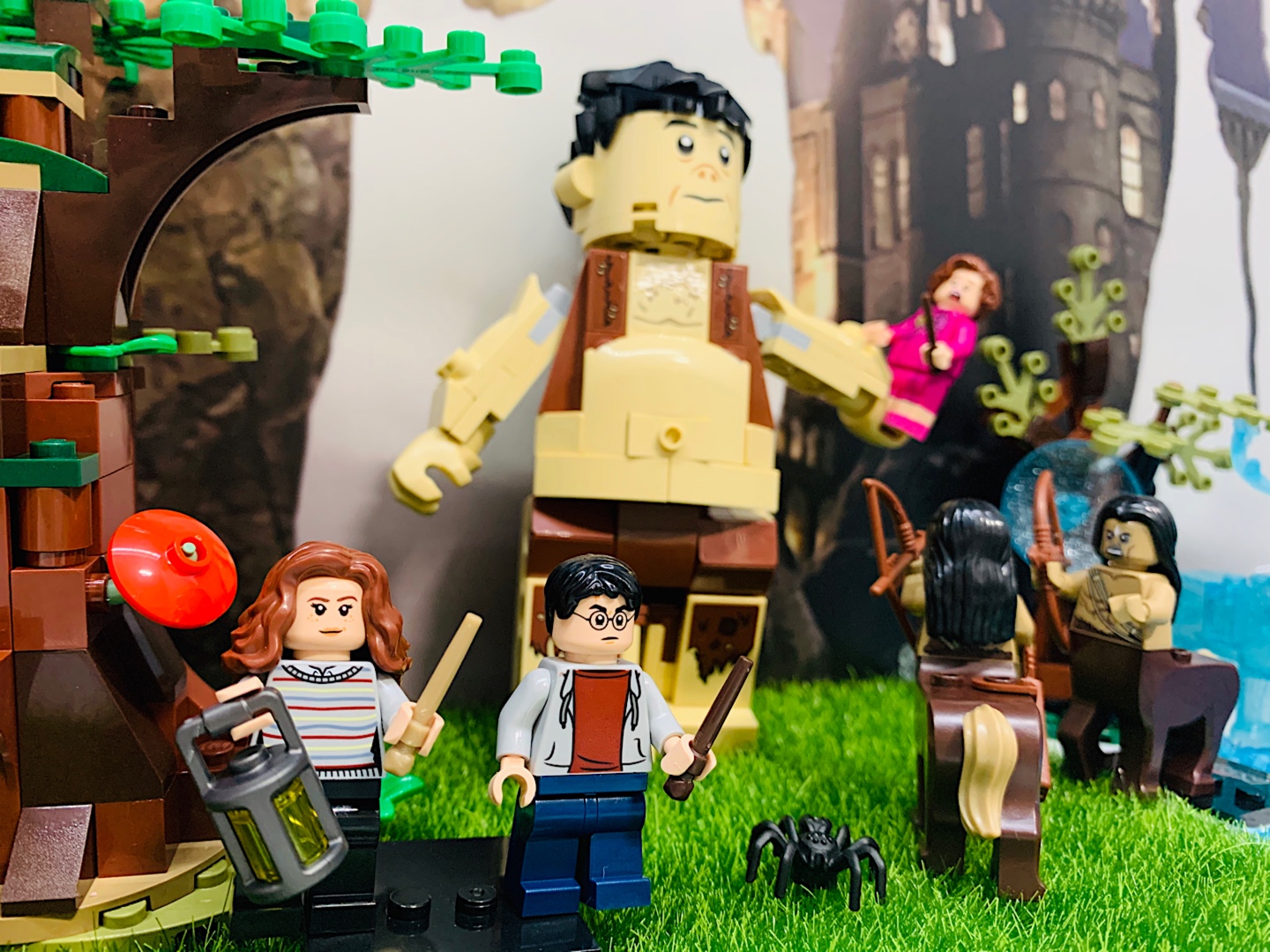 HARRY POTTER