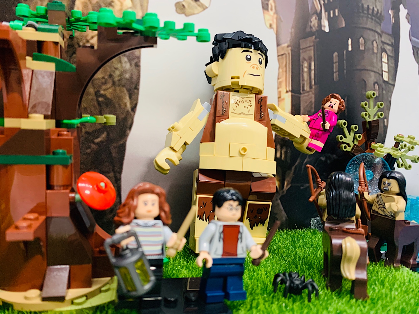 HARRY POTTER