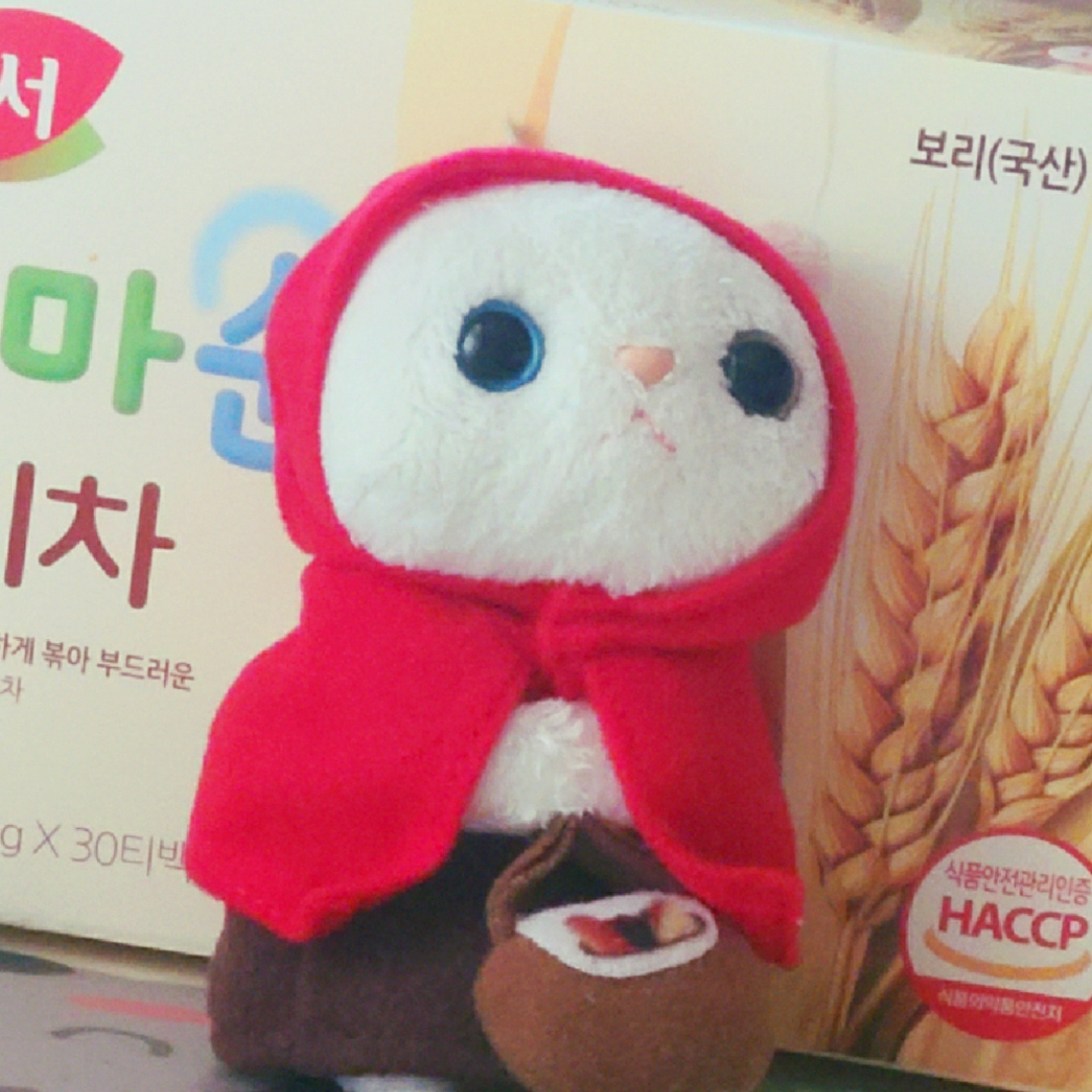 빨강망토 츄츄캣♥︎♥︎