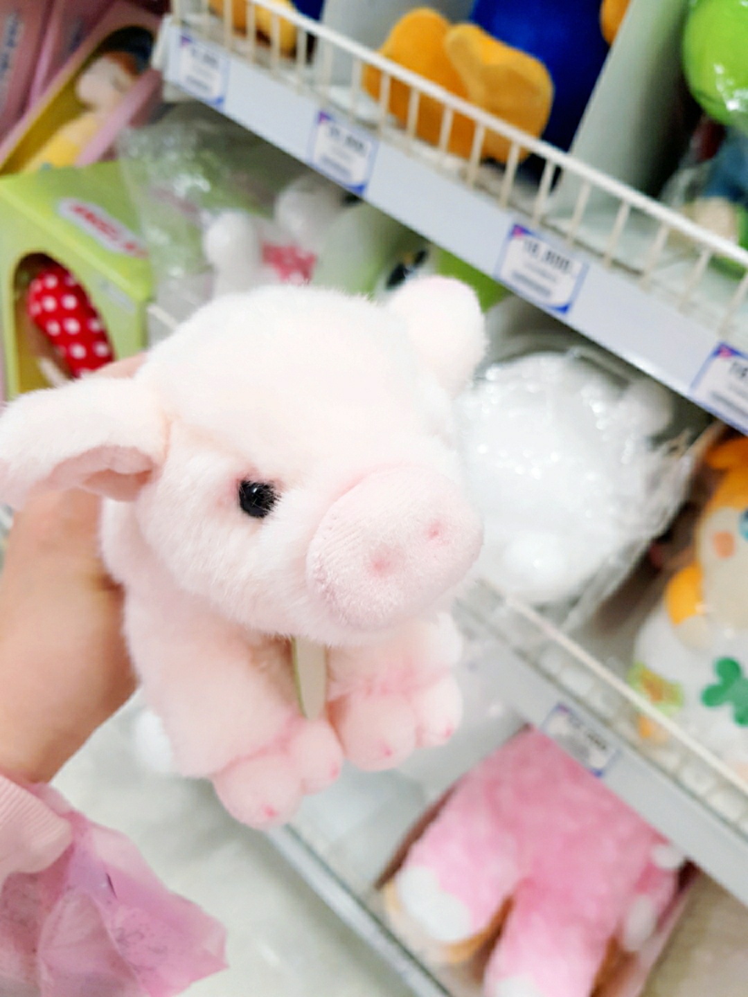 마트에서 만난 아기돼지🐷