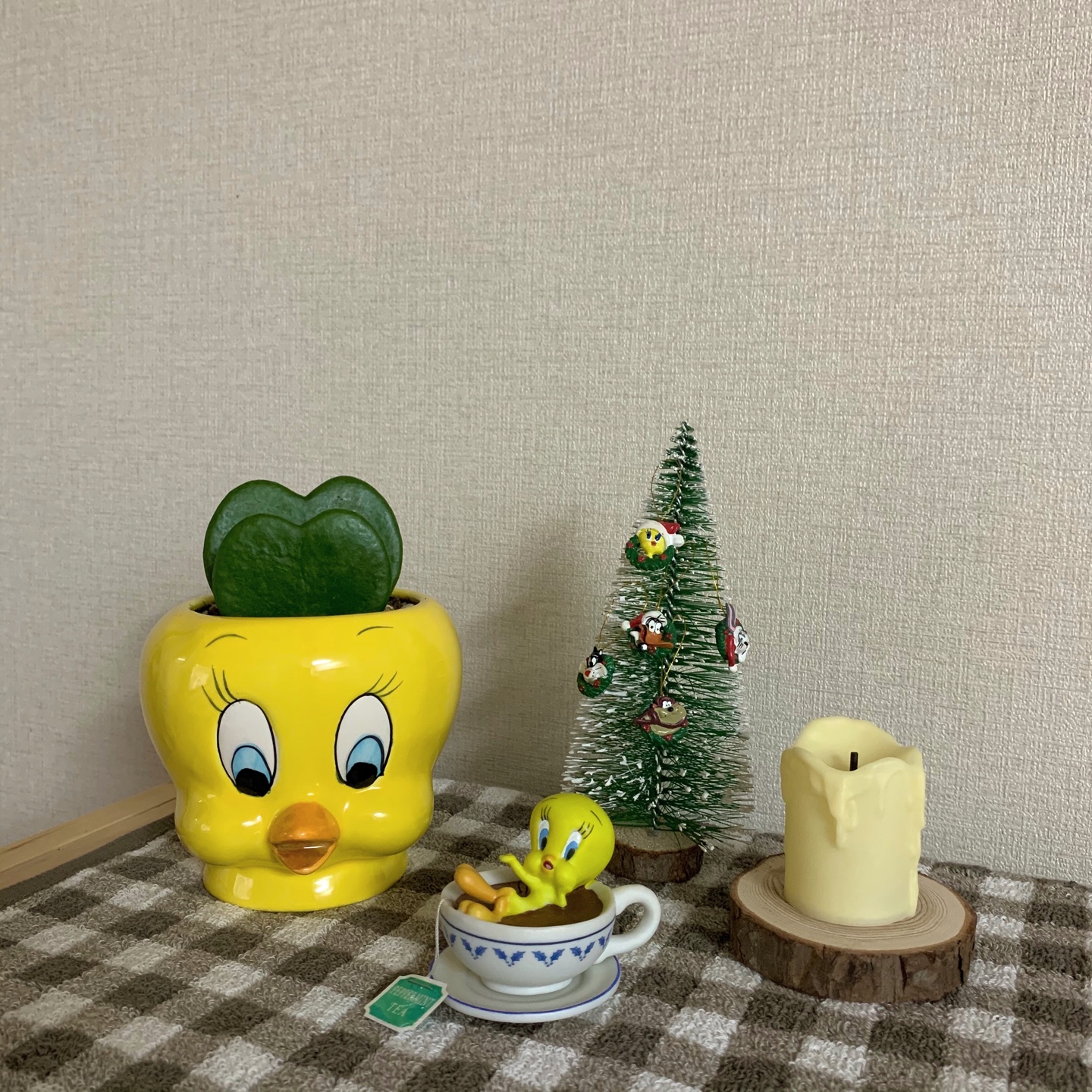 tweety night✨