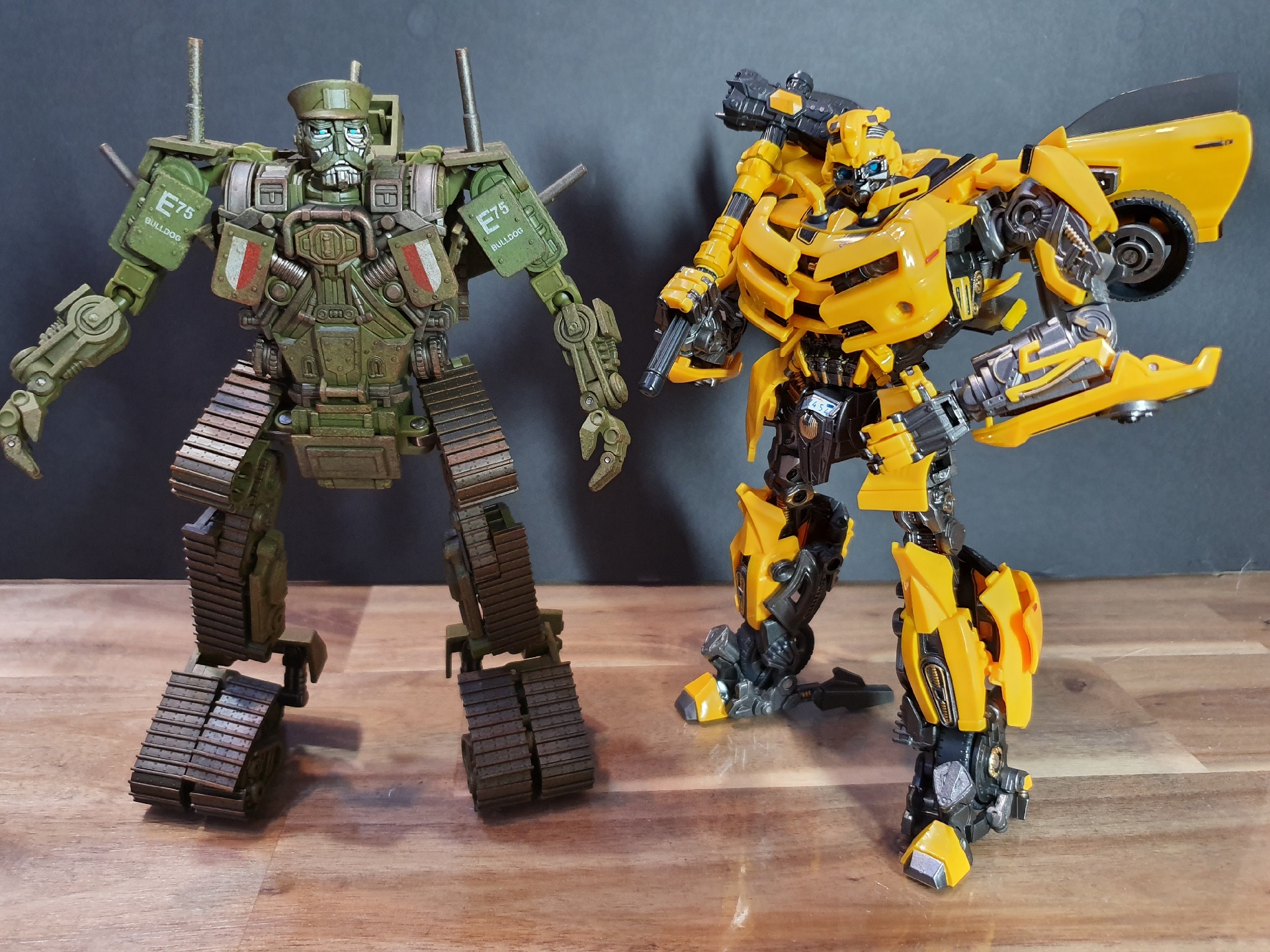 TW-FS01 Bulldog