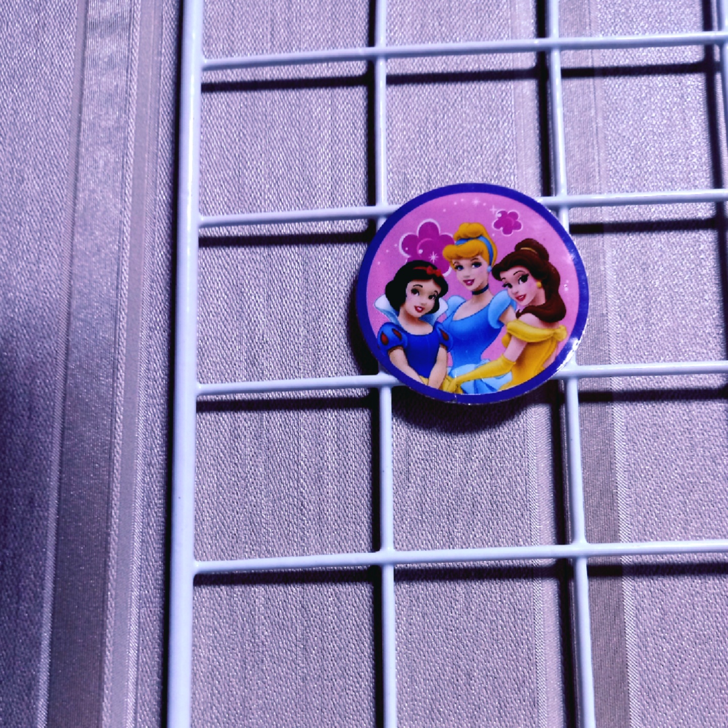 💝 Disney Princesses 💝