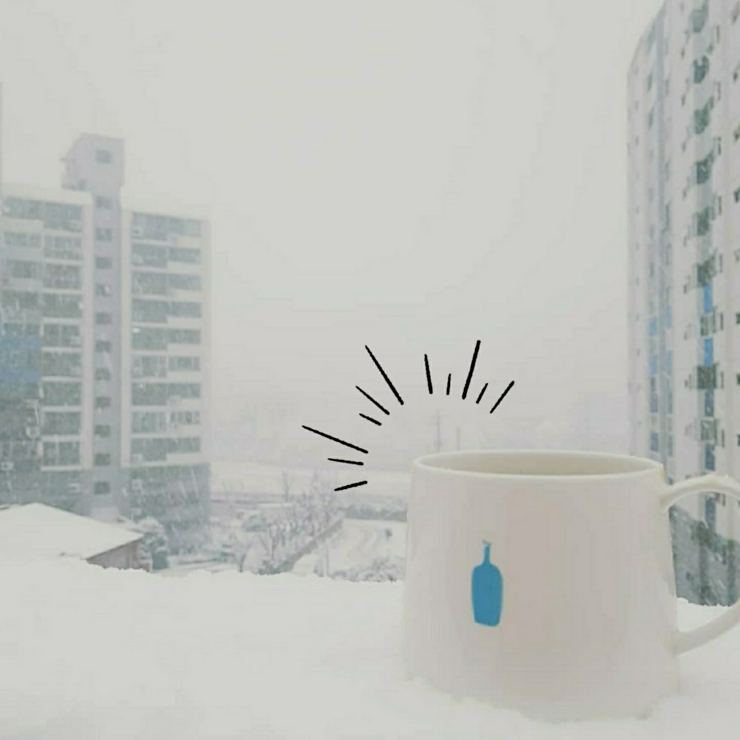 블루보틀, 그리고 눈