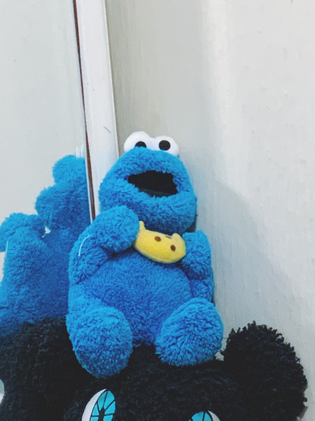 쿠키몬스터