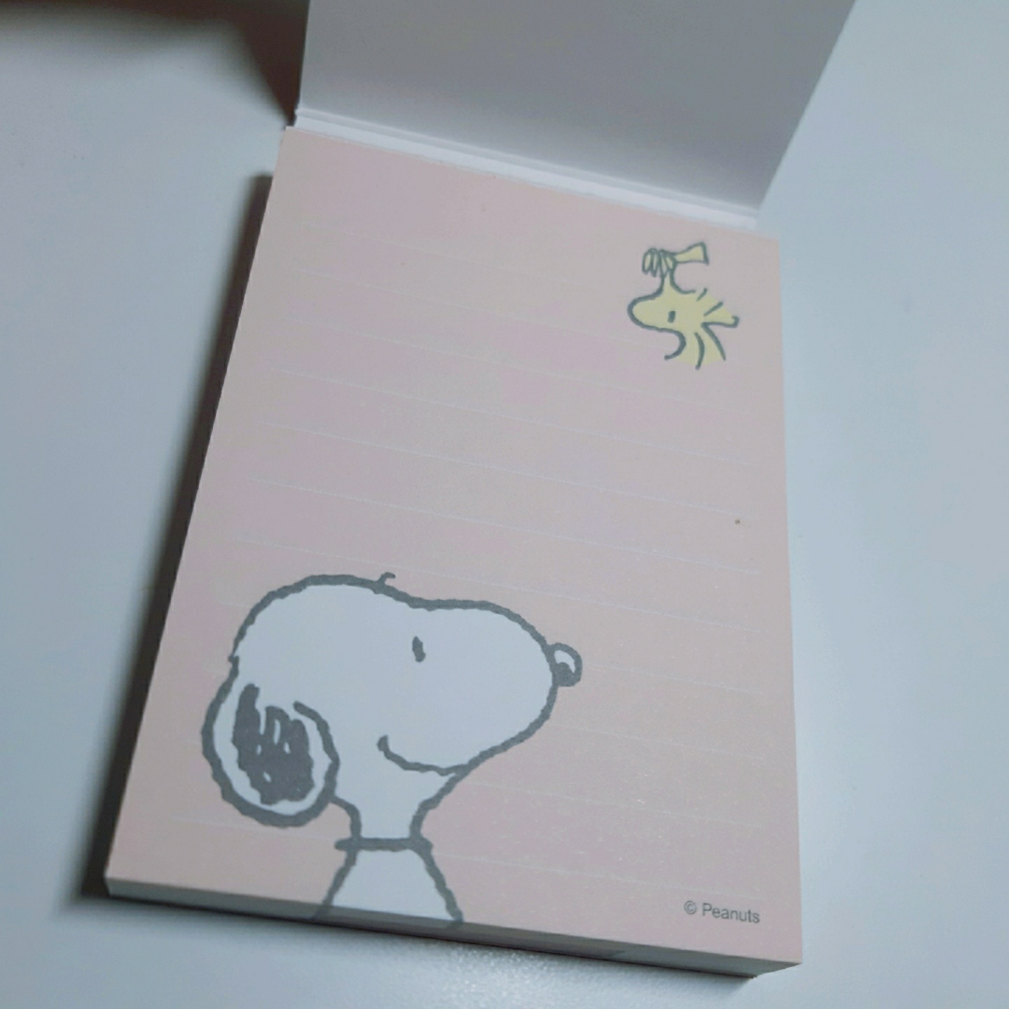 800원 가성비 갑 피너츠 메모지💘