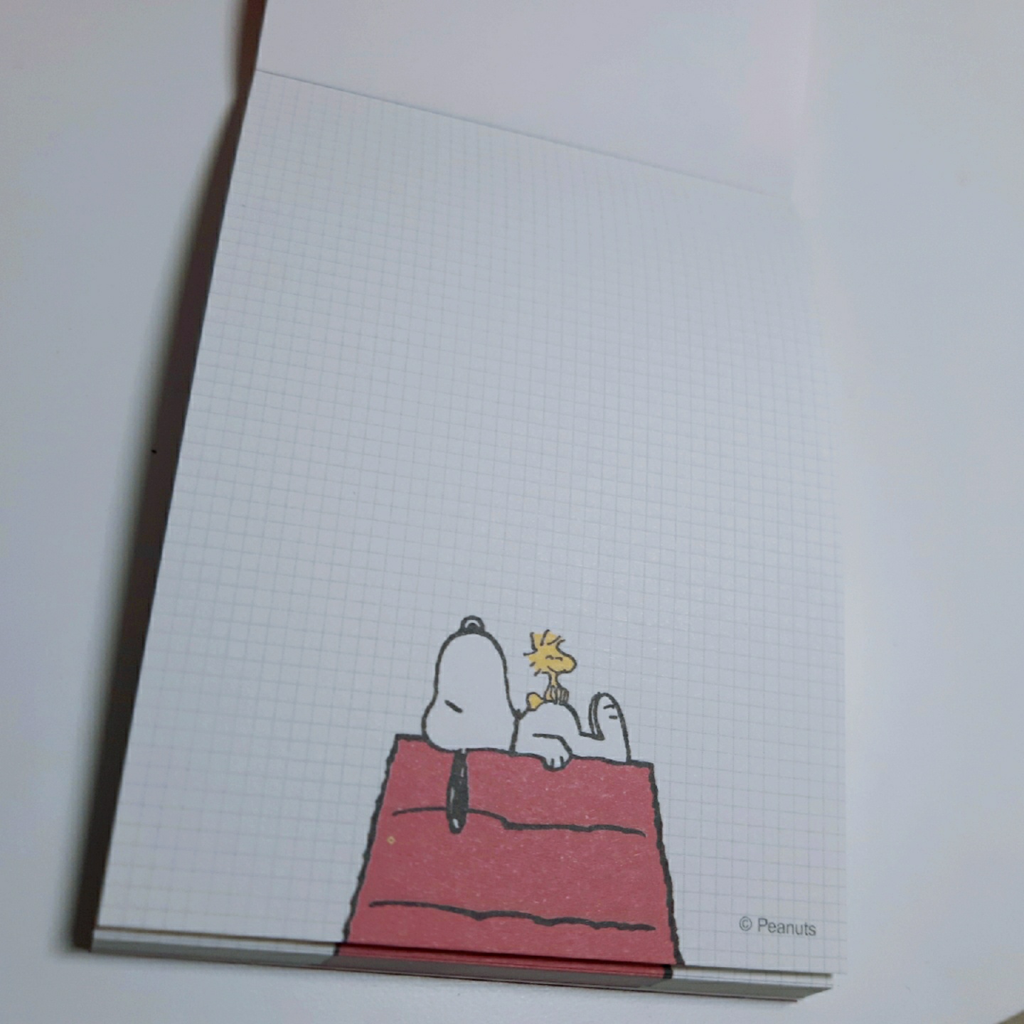 800원 가성비 갑 피너츠 메모지💘