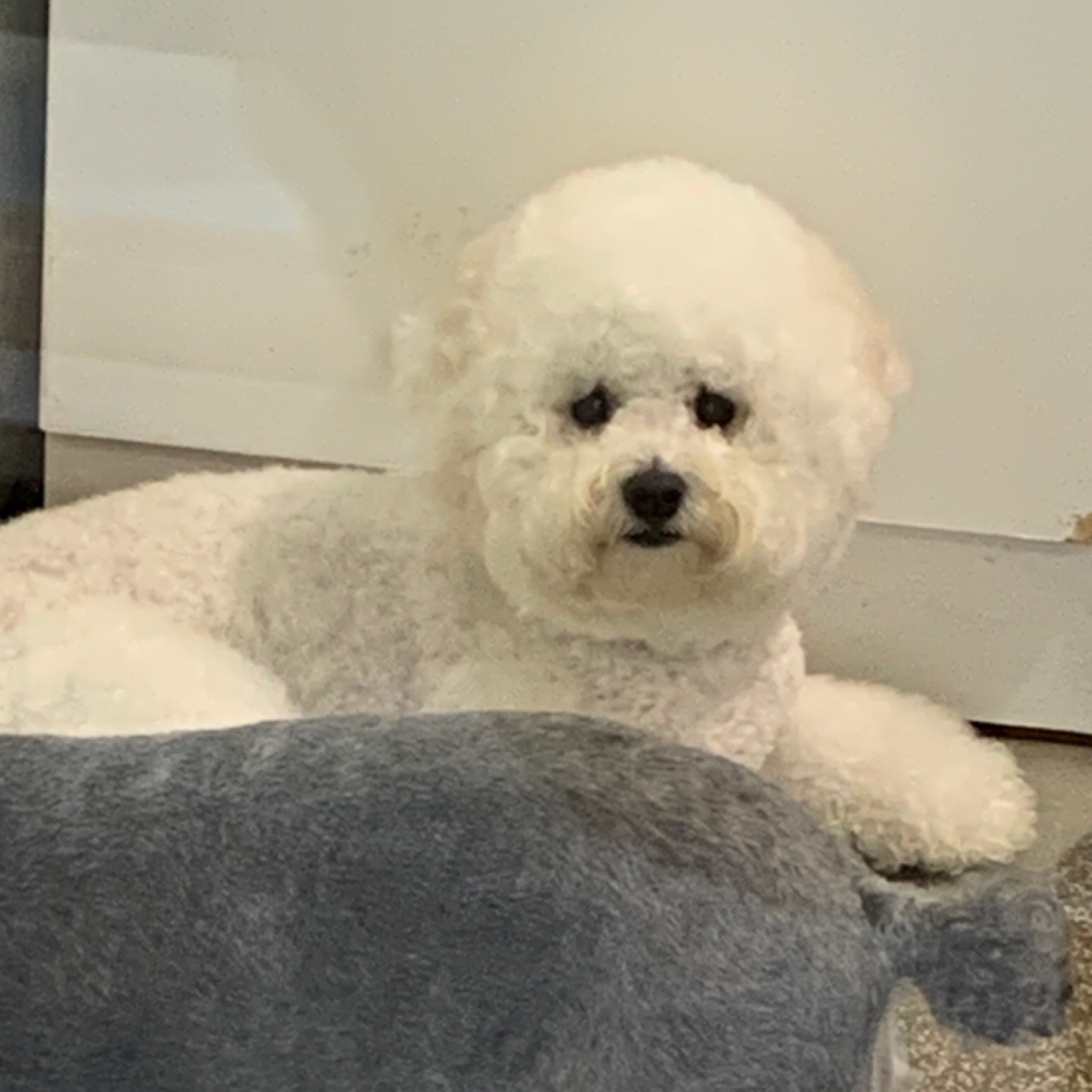 뚜둥