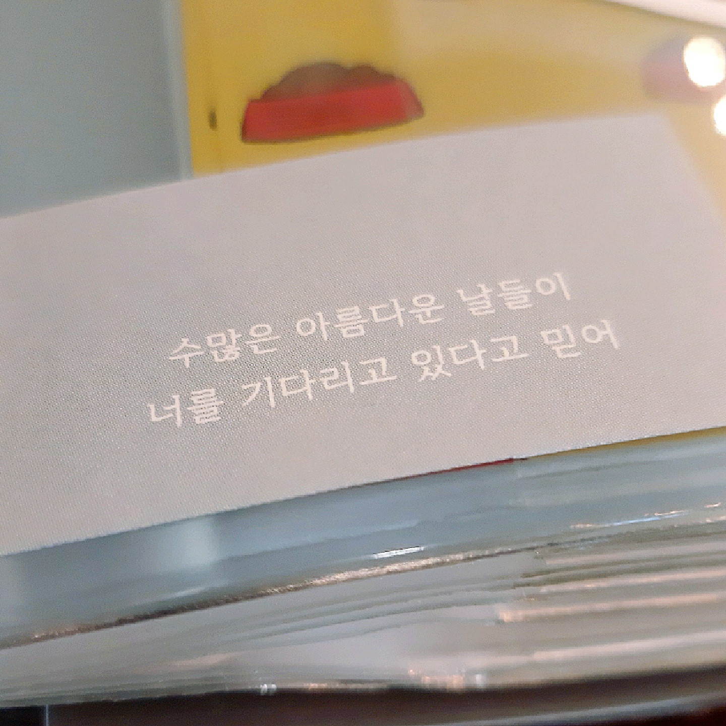 확실히 스누피에 미쳐있군...