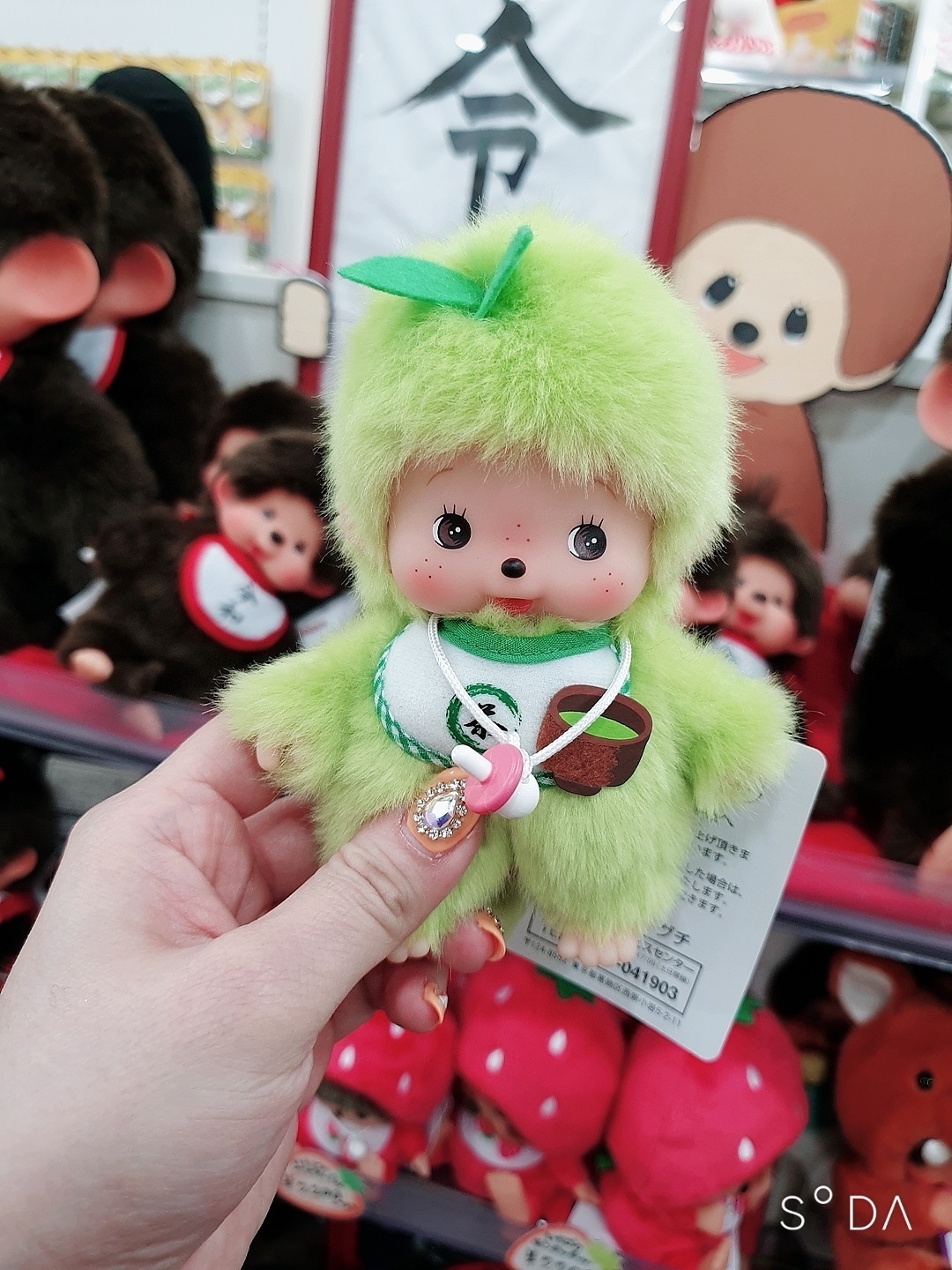 녹차몬치치