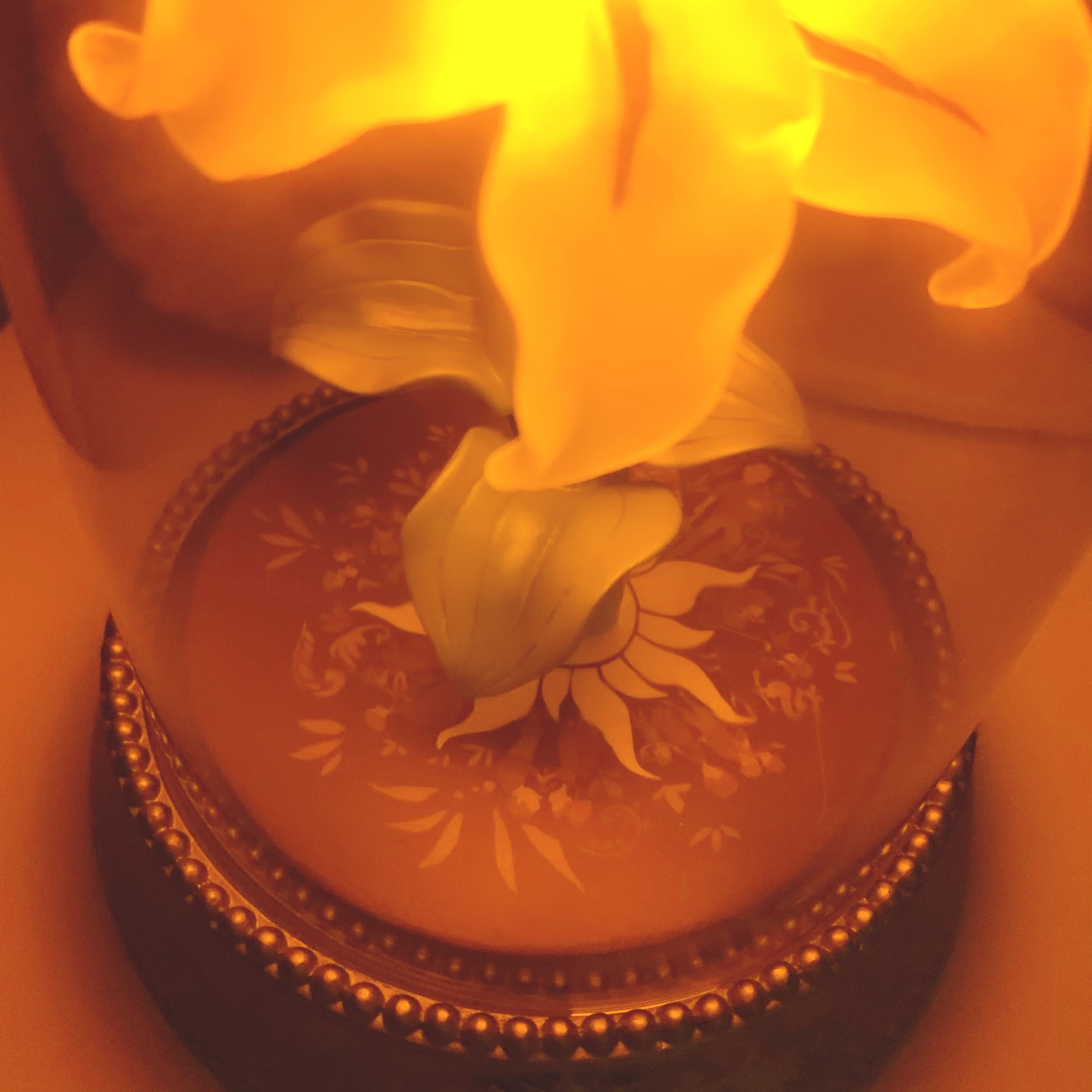  Rapunzel's sundrop flower