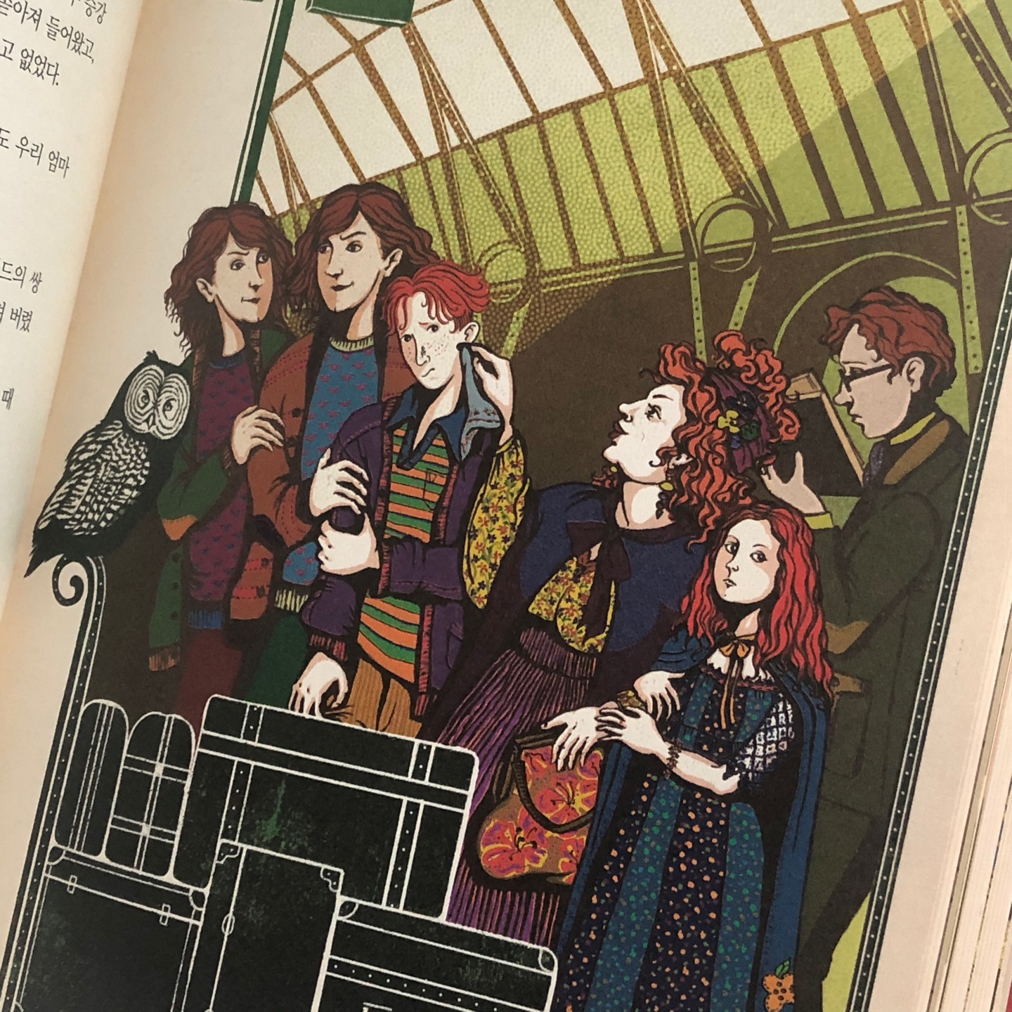 ✨해리포터 미나리마 에디션✨