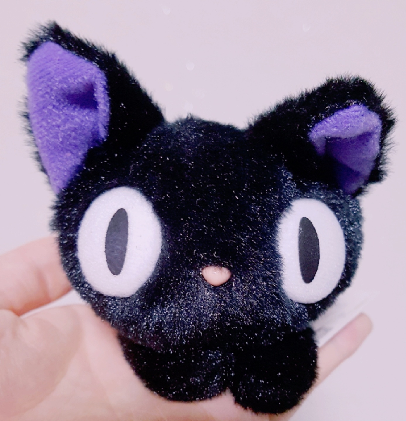 지지