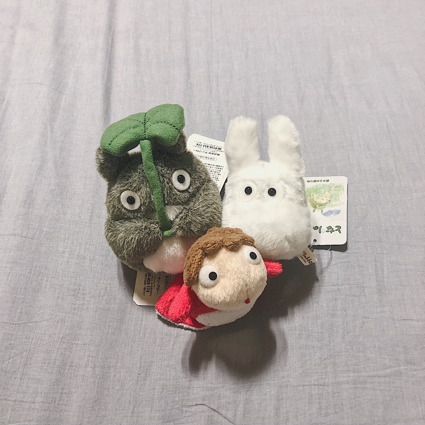 Ghibli Friends