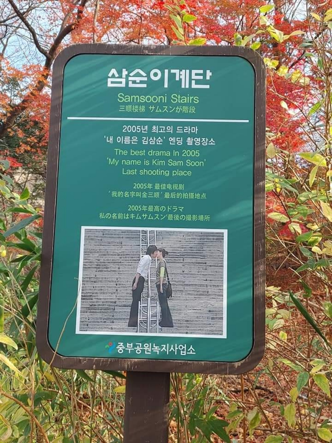 삼순계단 
남산타워