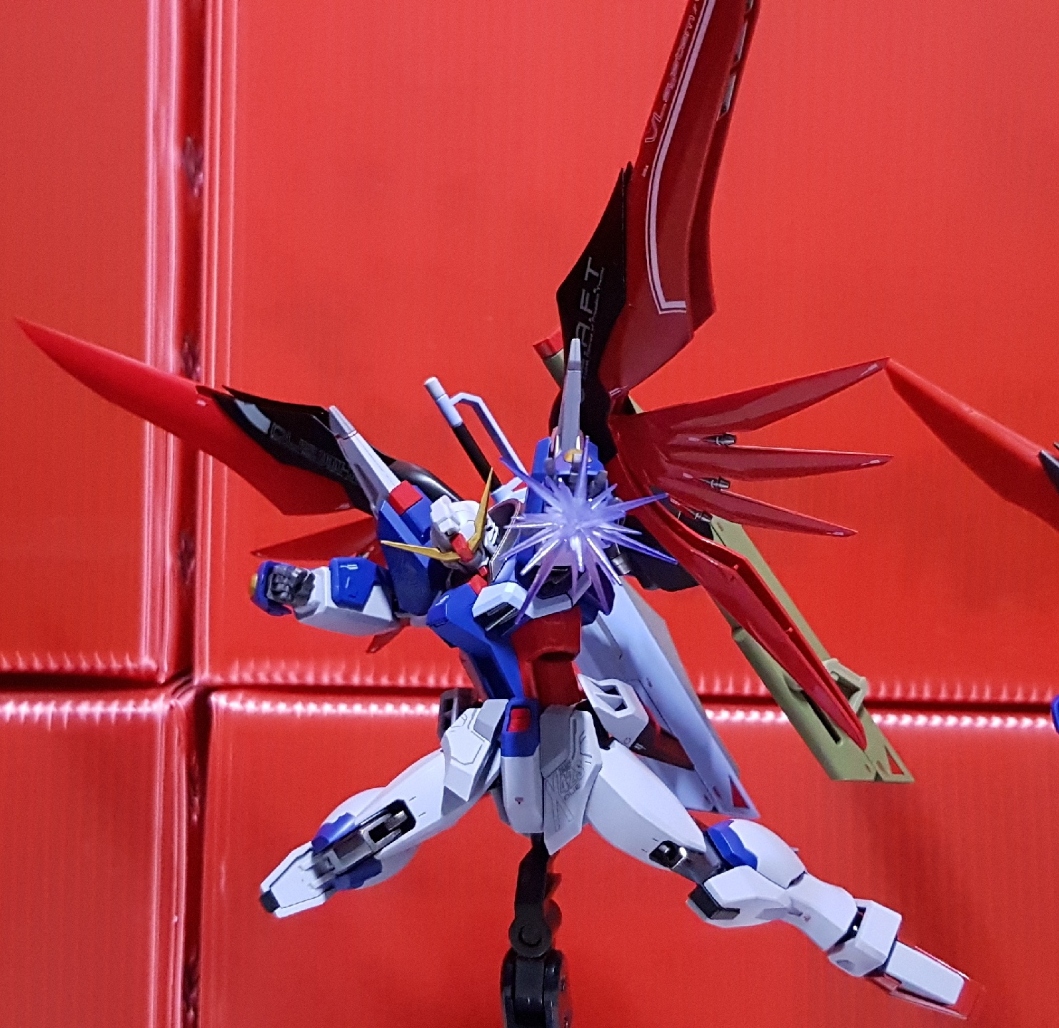HGCE Destiny