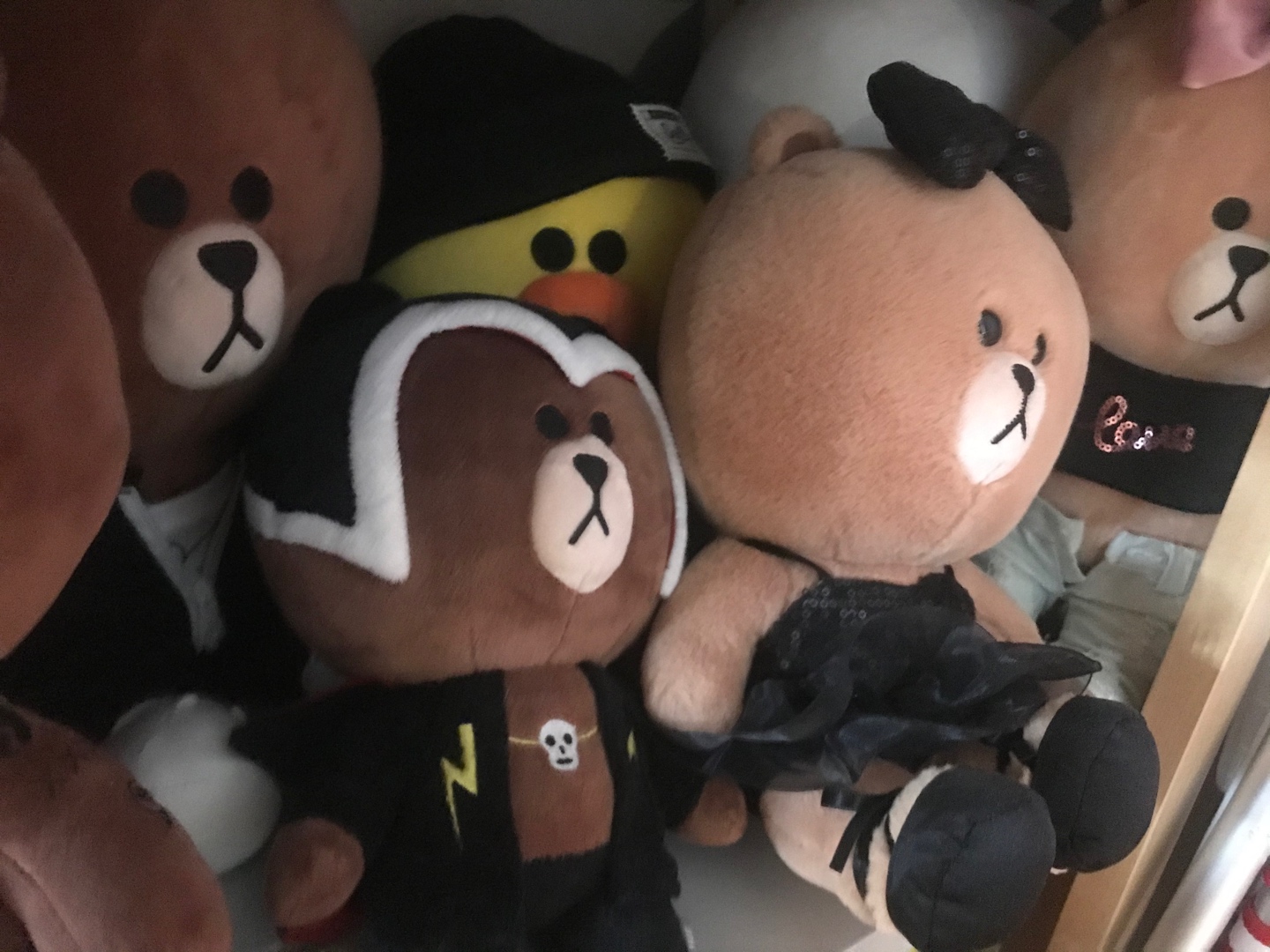 라인인형