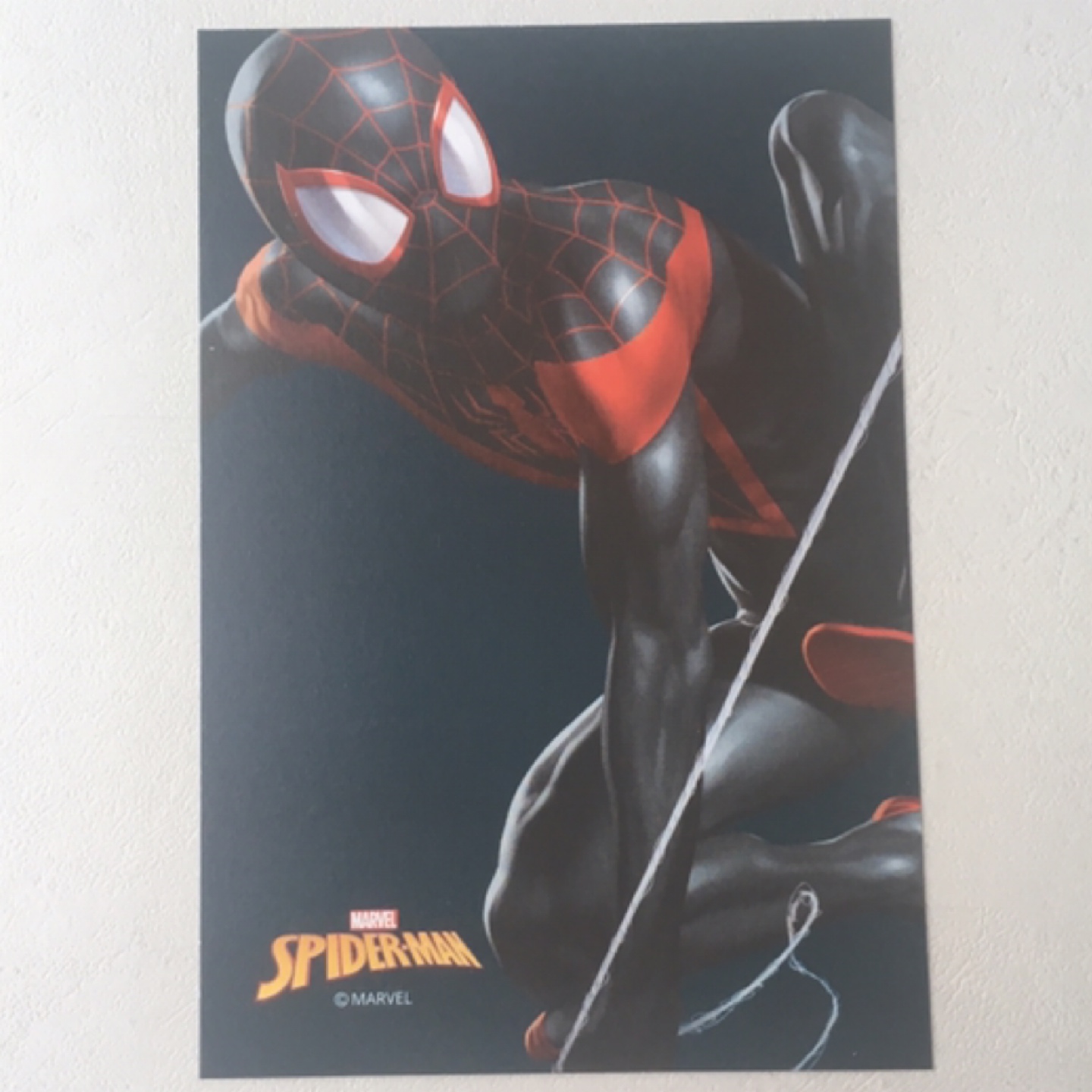 Spider-man 엽서