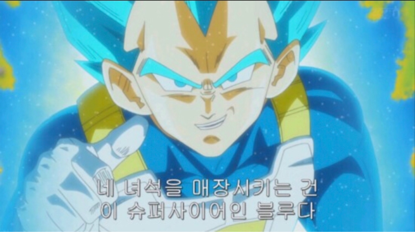 슈퍼사이어인 블루 베지터