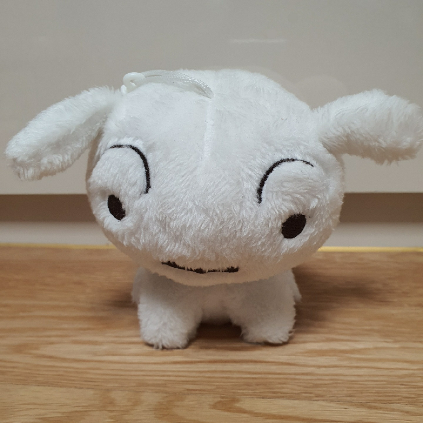 흰둥이 분양받았어용!