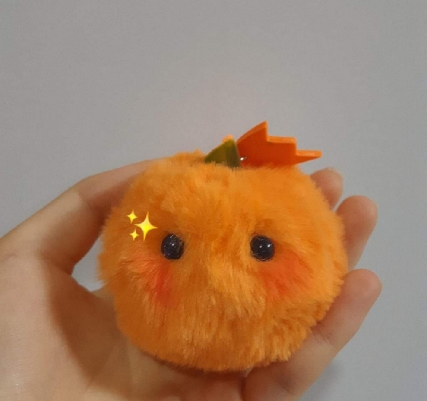 🍊