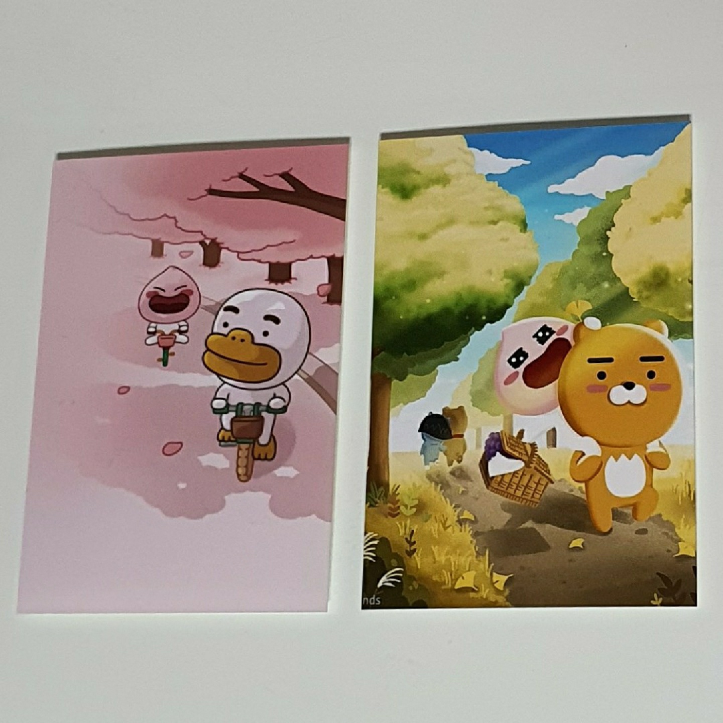 인화 사진 시켰당