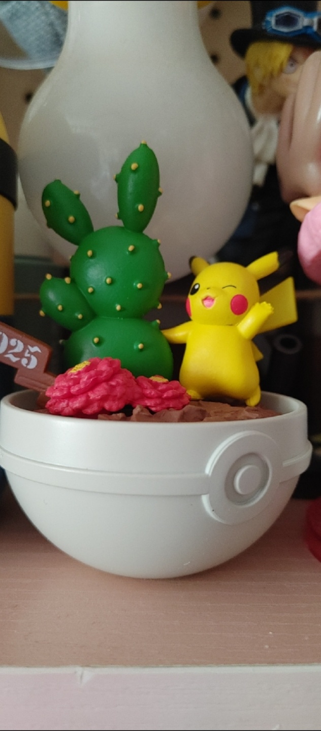 피카츄!!