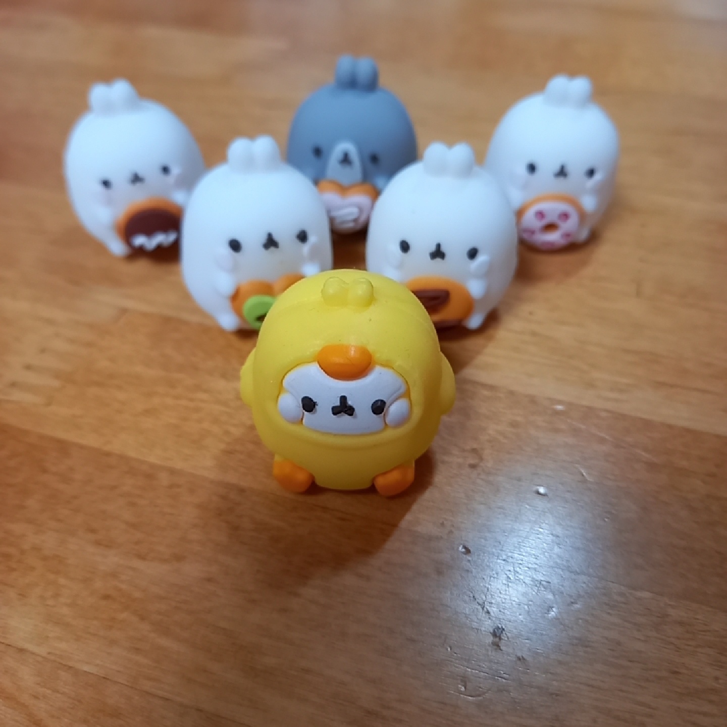몰랑이들💛
