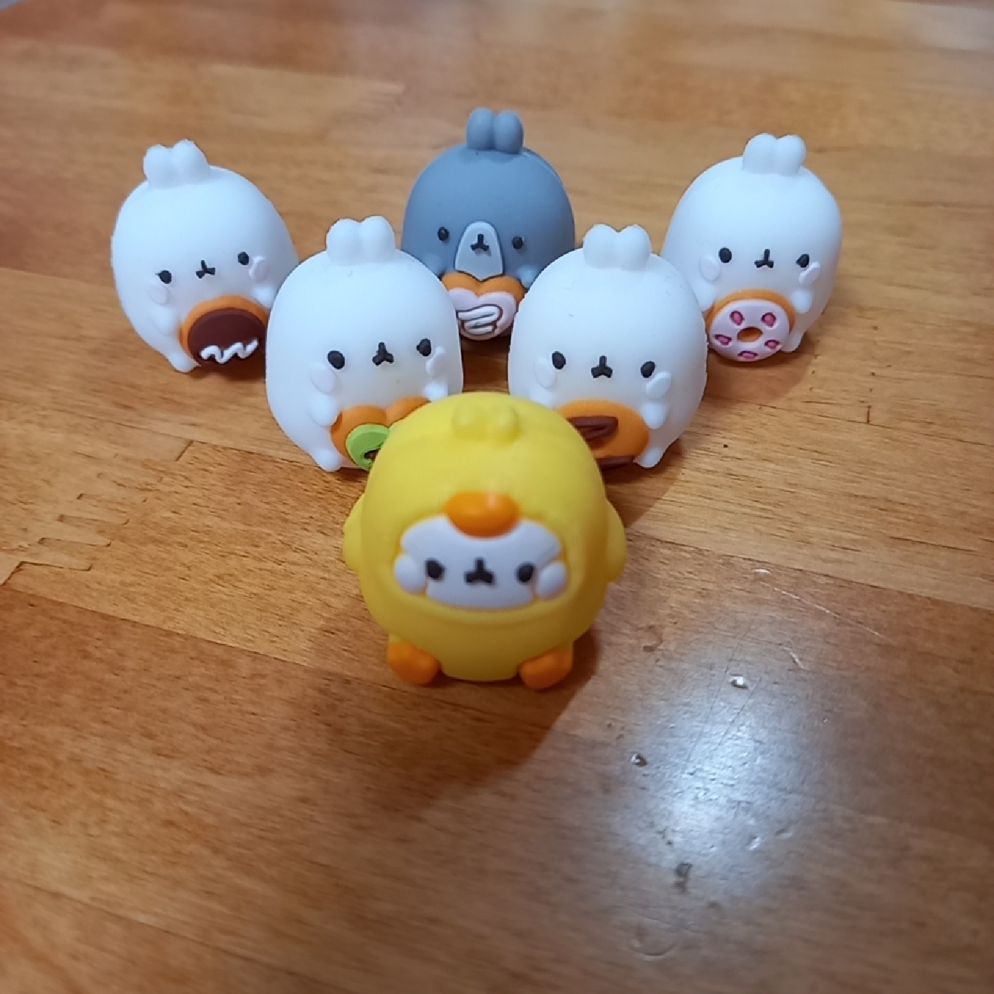 몰랑이들💛