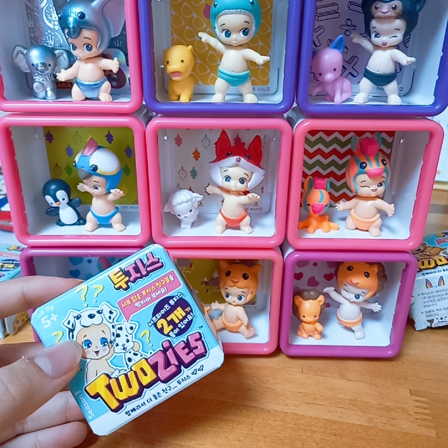 투지스