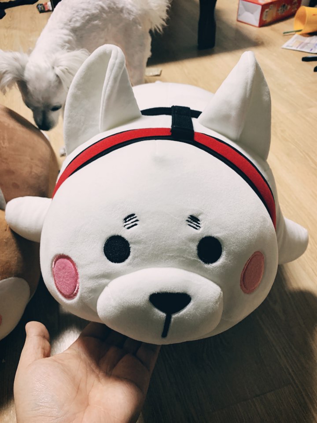 진돗개