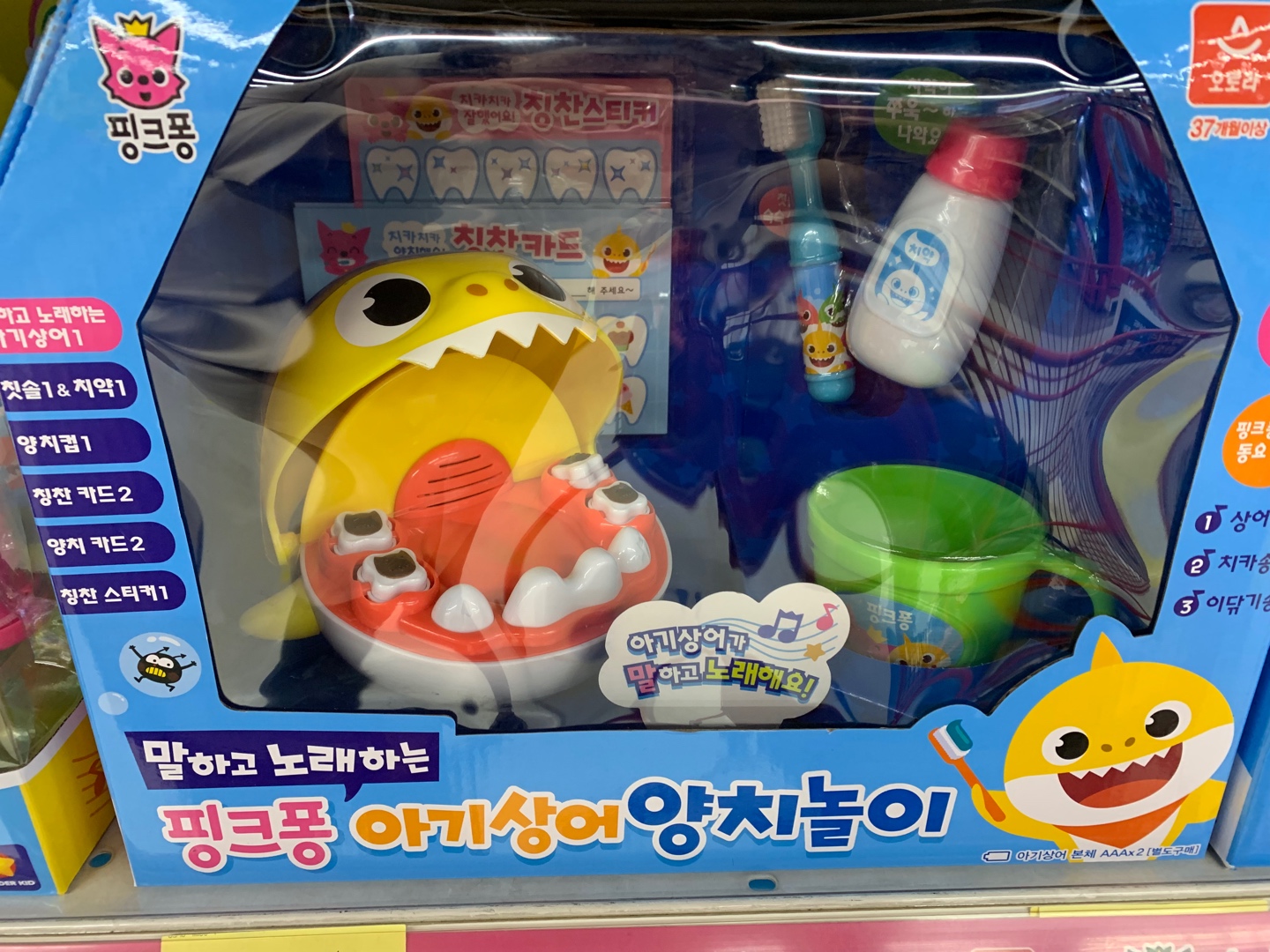 아기상어