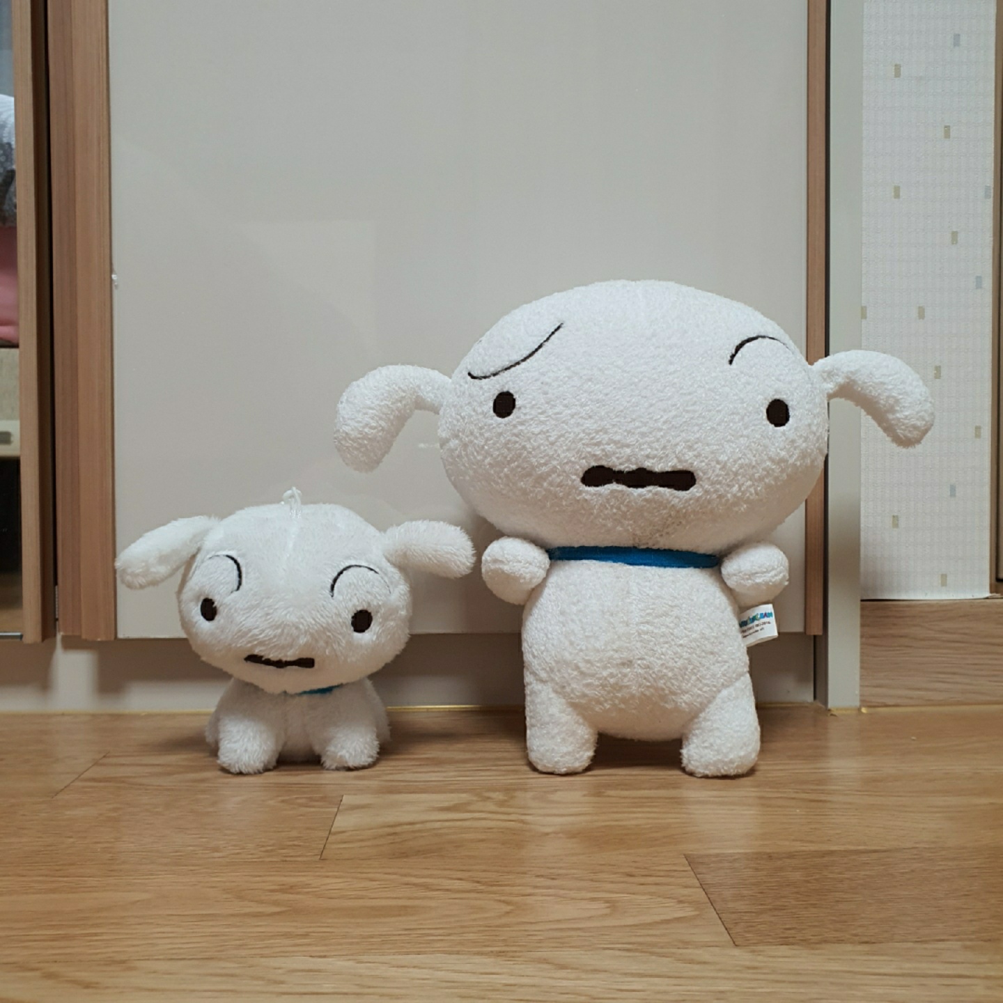 둥이 둥이 흰둥이❤