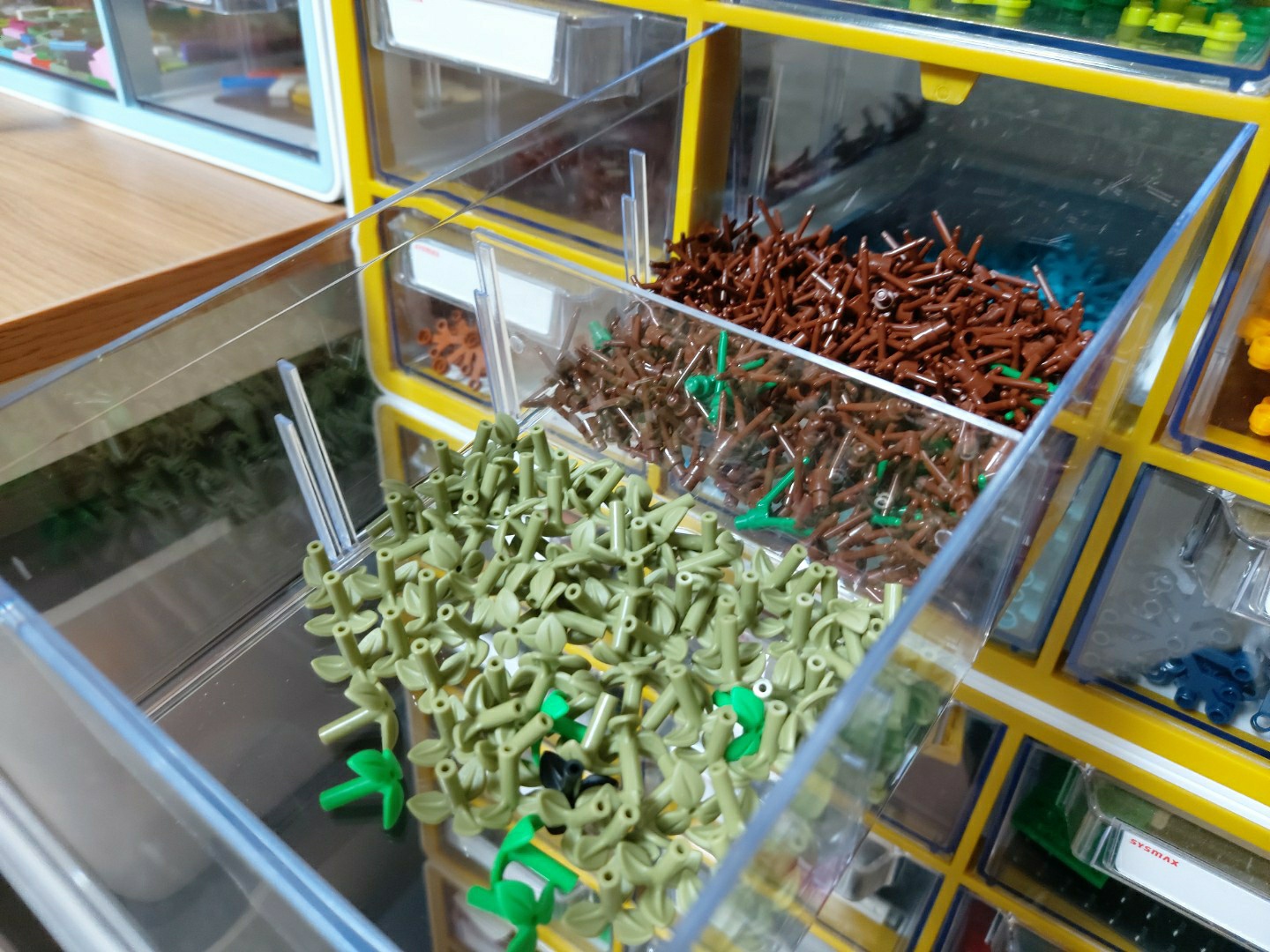 이상한 나라의 트리하우스..?