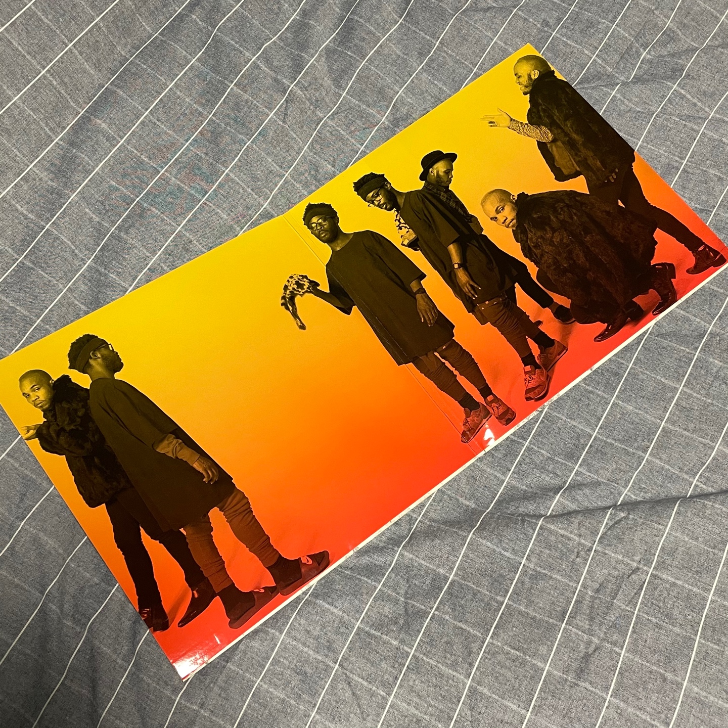 NxWorries - X