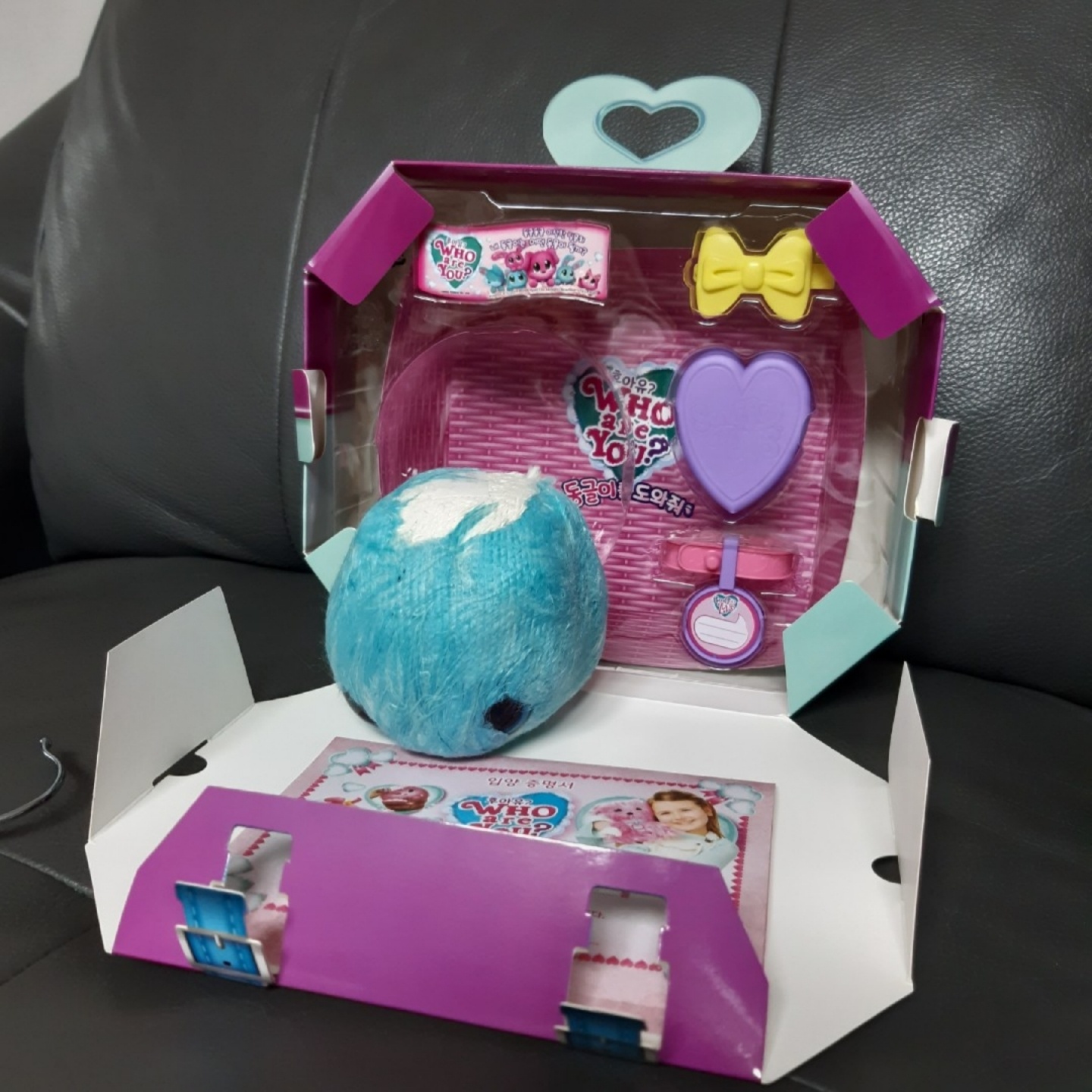 동글이를 도와줘!🐰💙