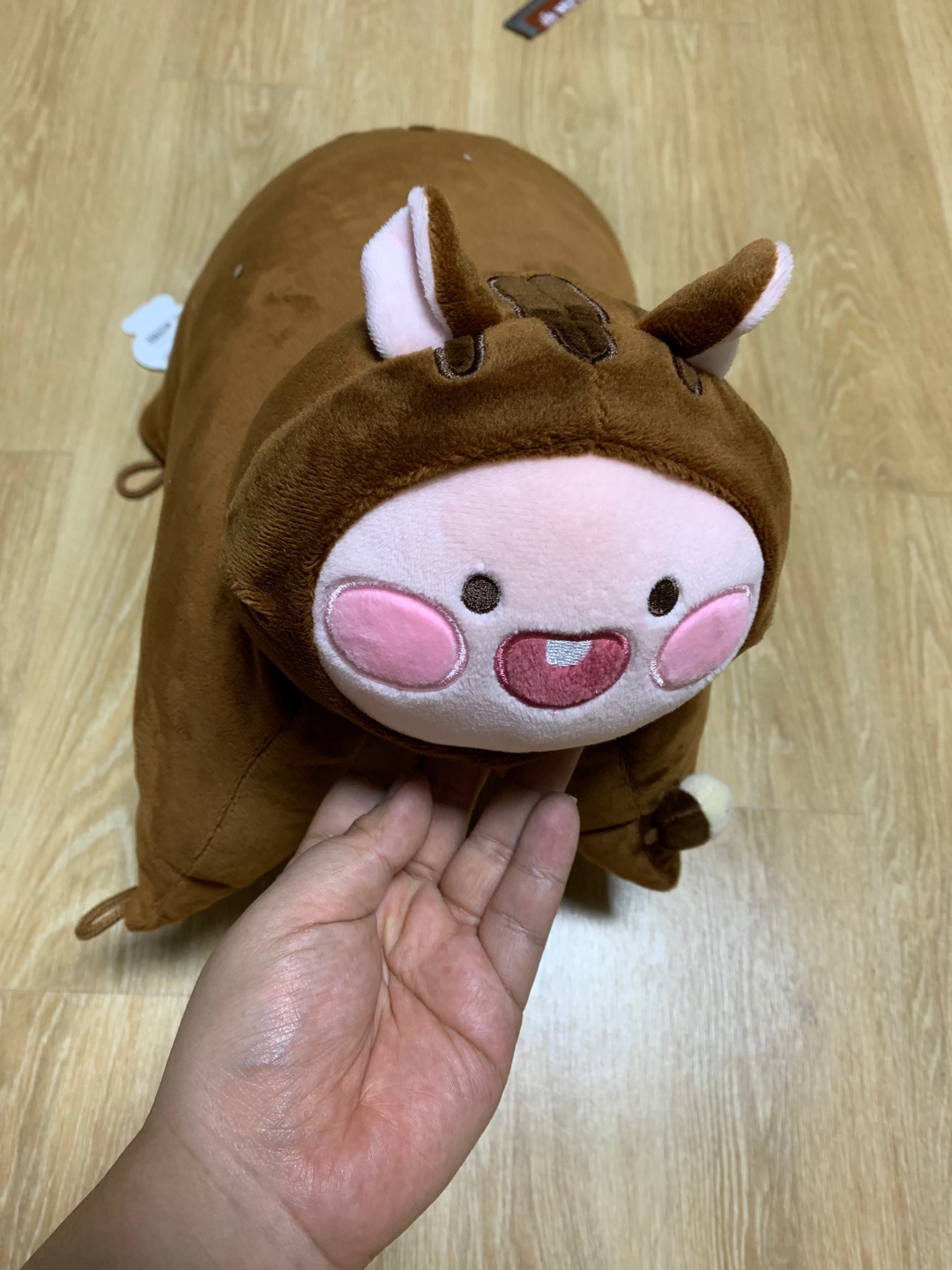 제목 없음