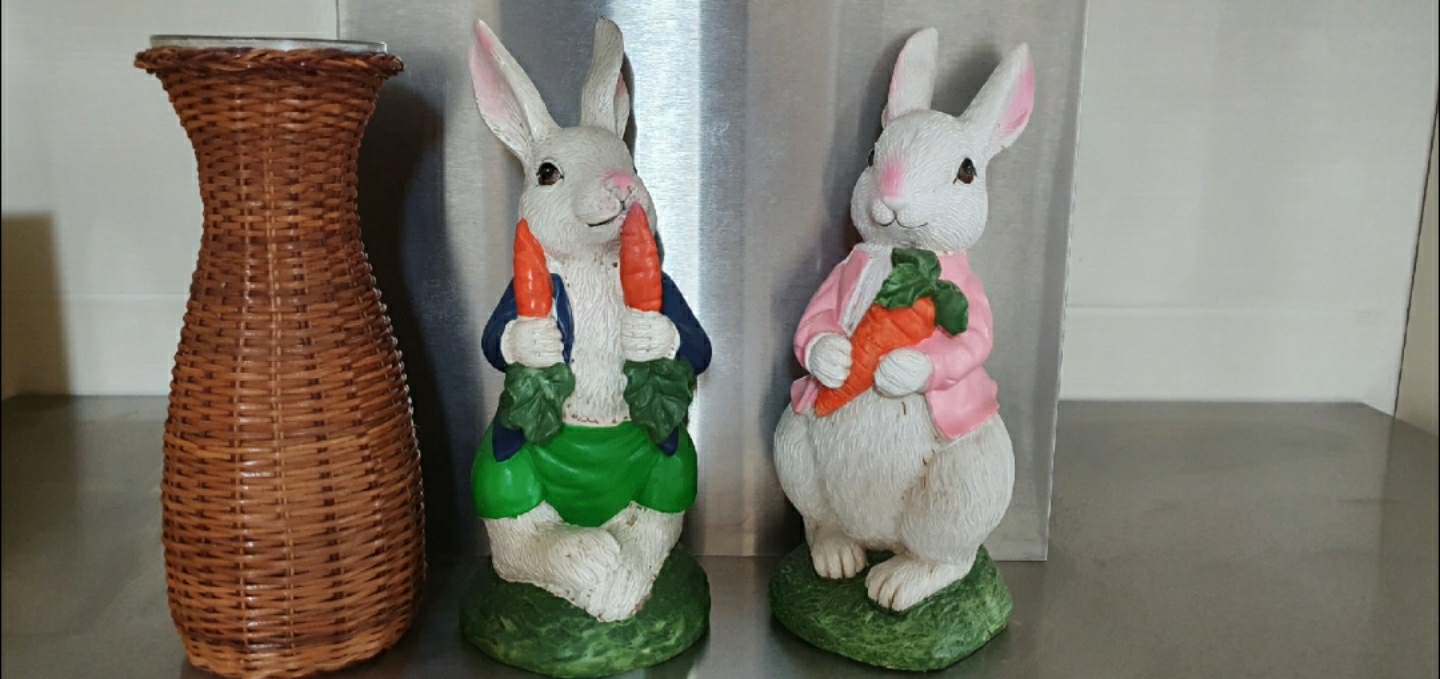 당근을 든 토깽이들 🐇🐇🥕🥕