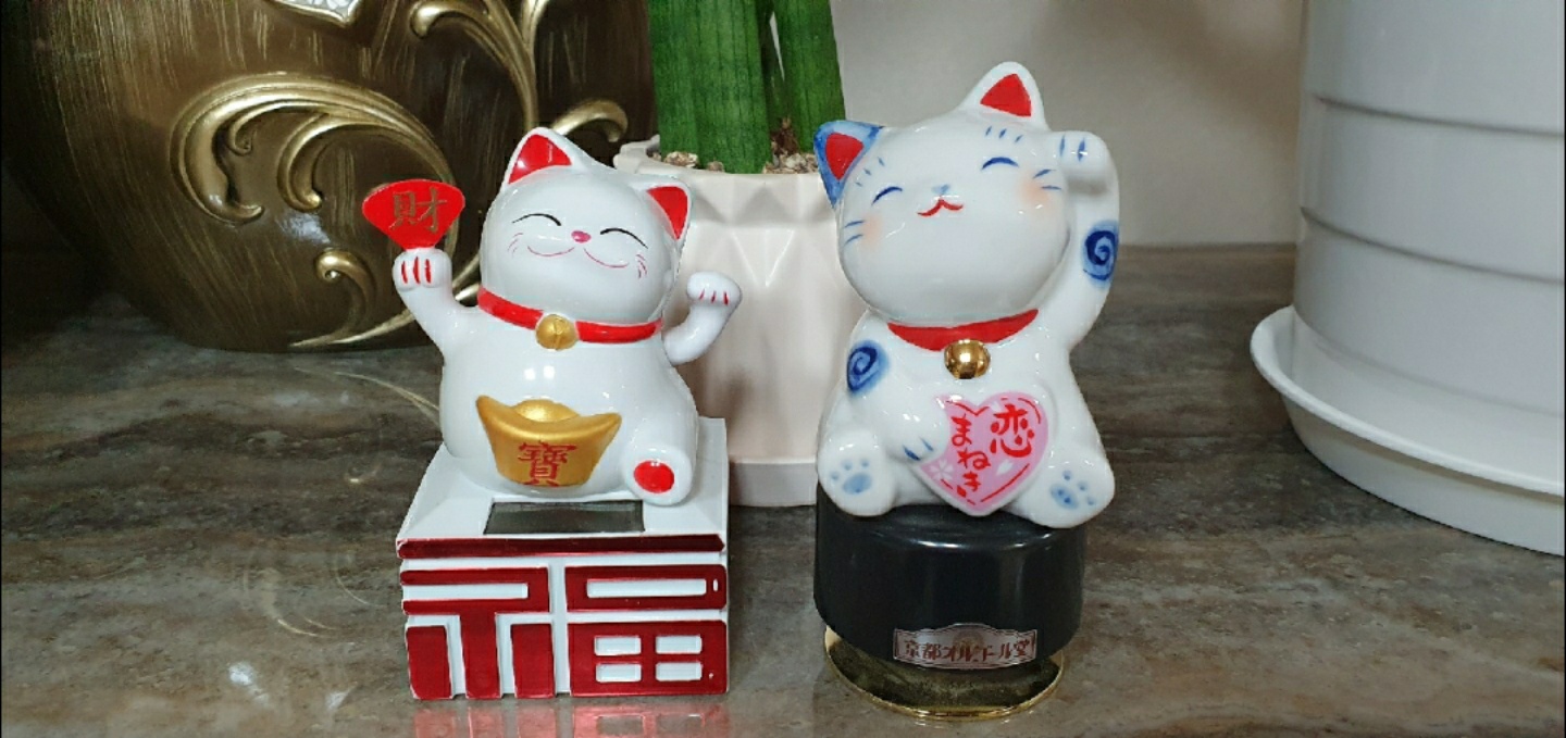 복을 주는 울집 냥이들 🐱🐈