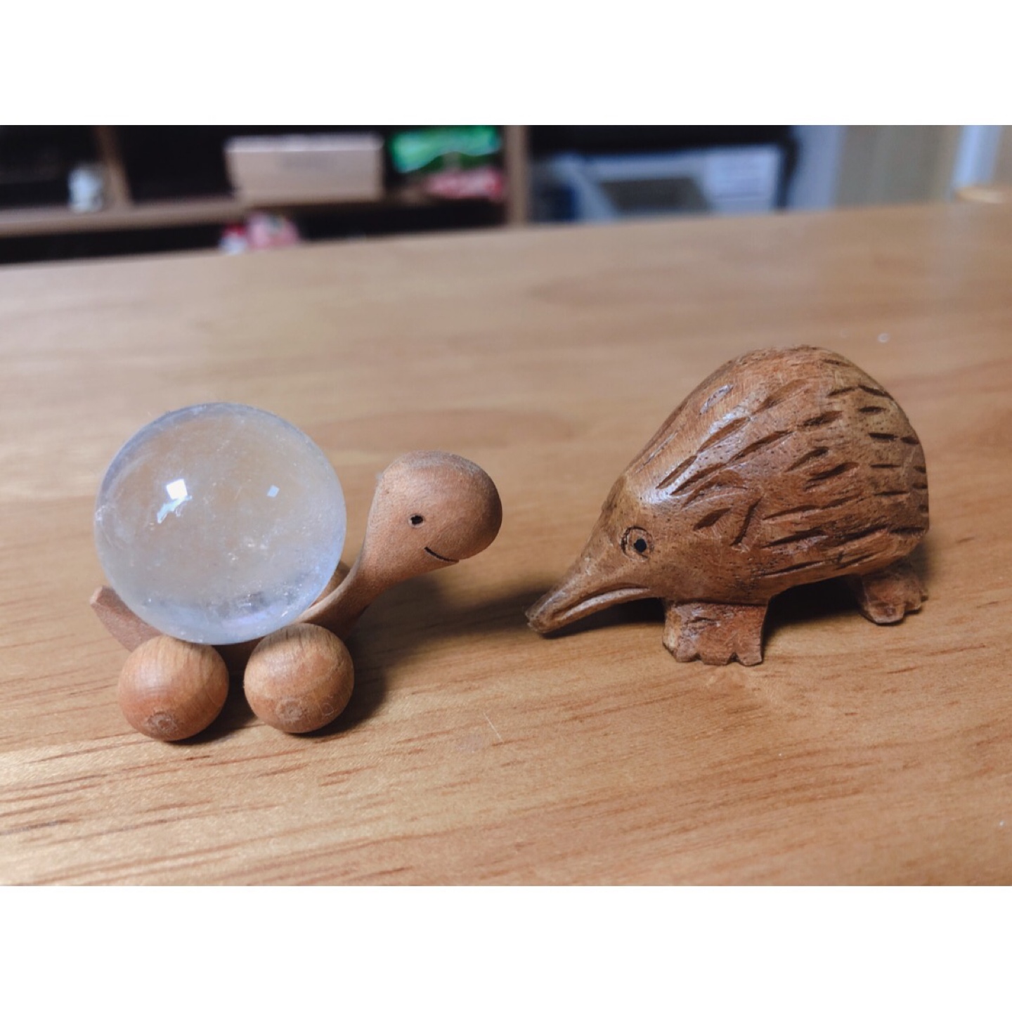 서유럽 & 호주